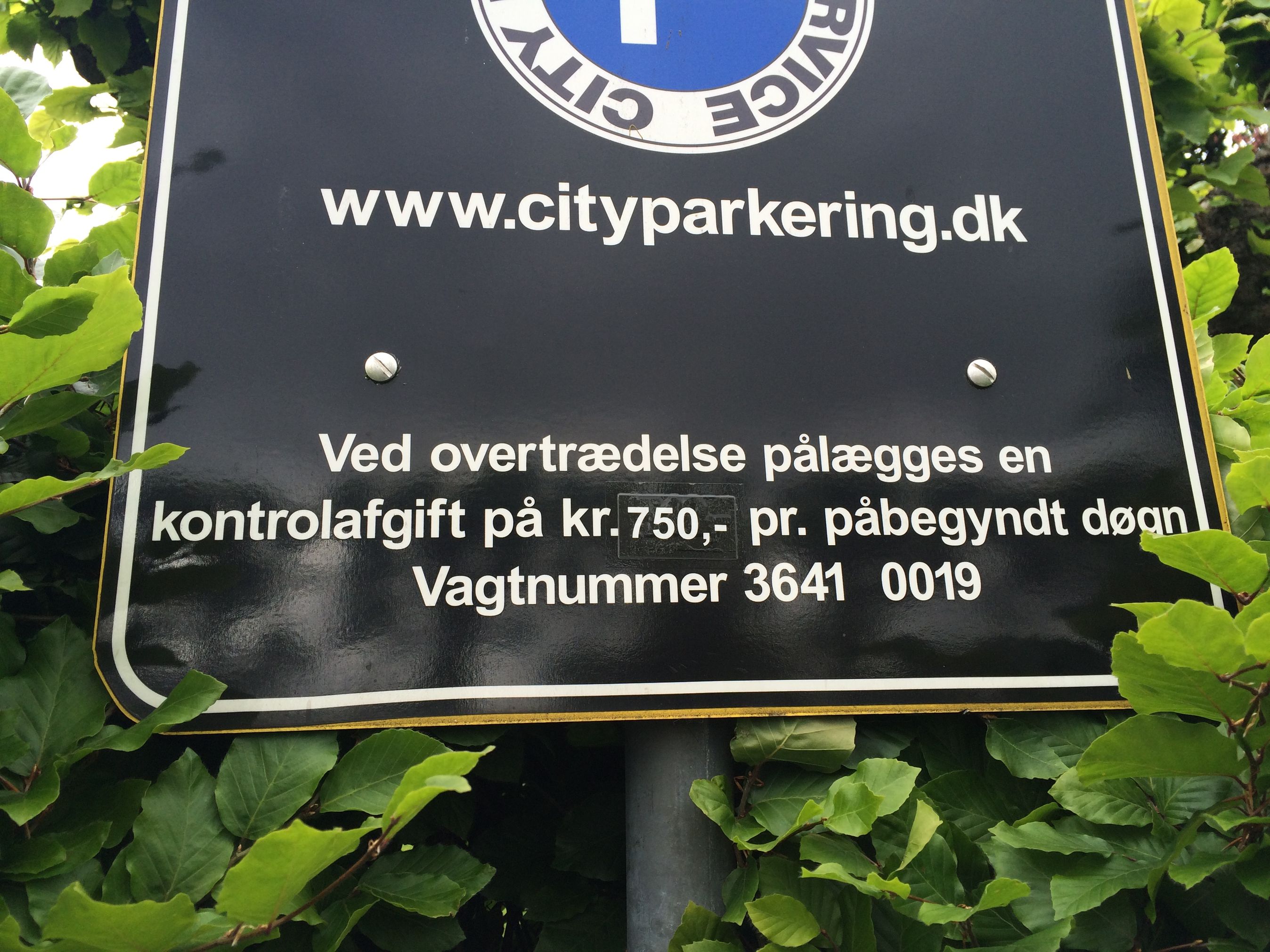 Foto: Anders Wendt Jensen