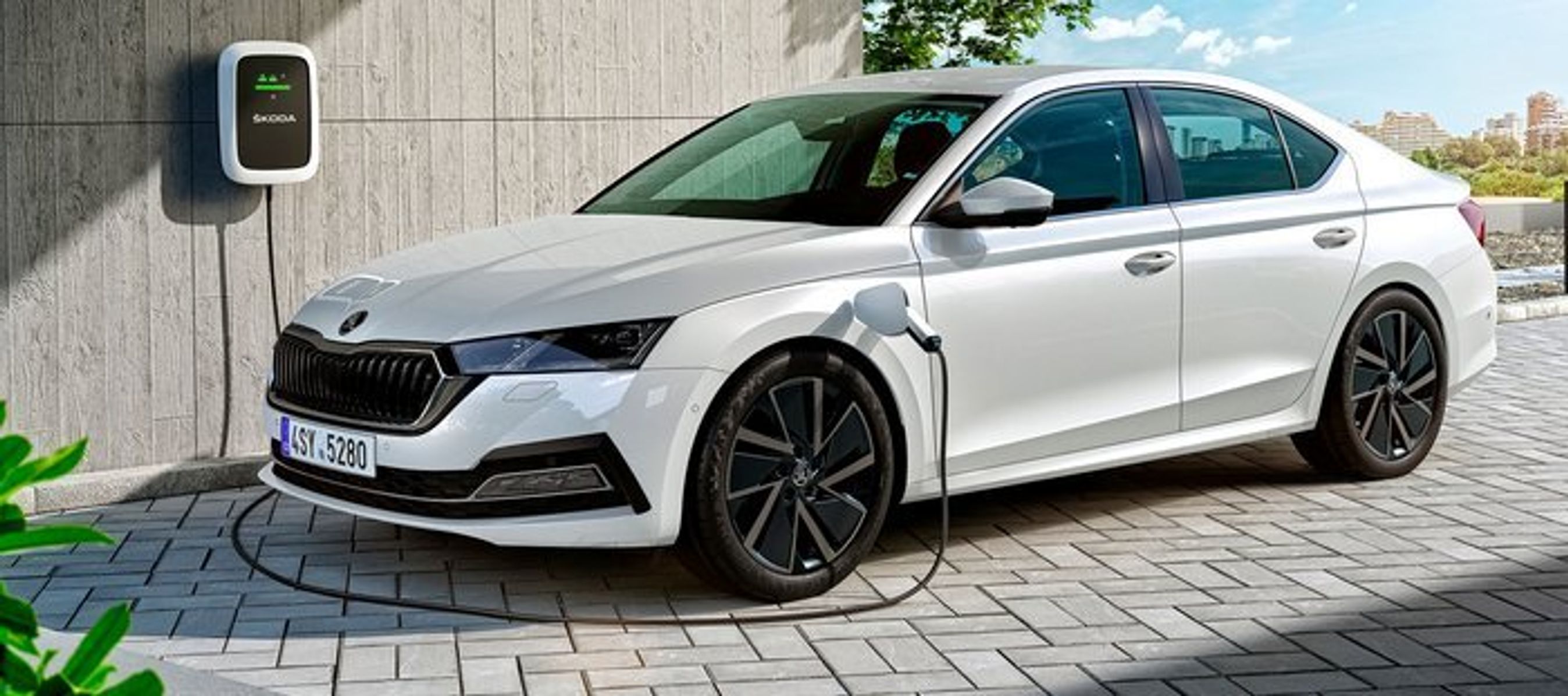 Til sommer kommer den nye Octavia både som femdørs og stationcar. Der kommer også en opladningshybrid.