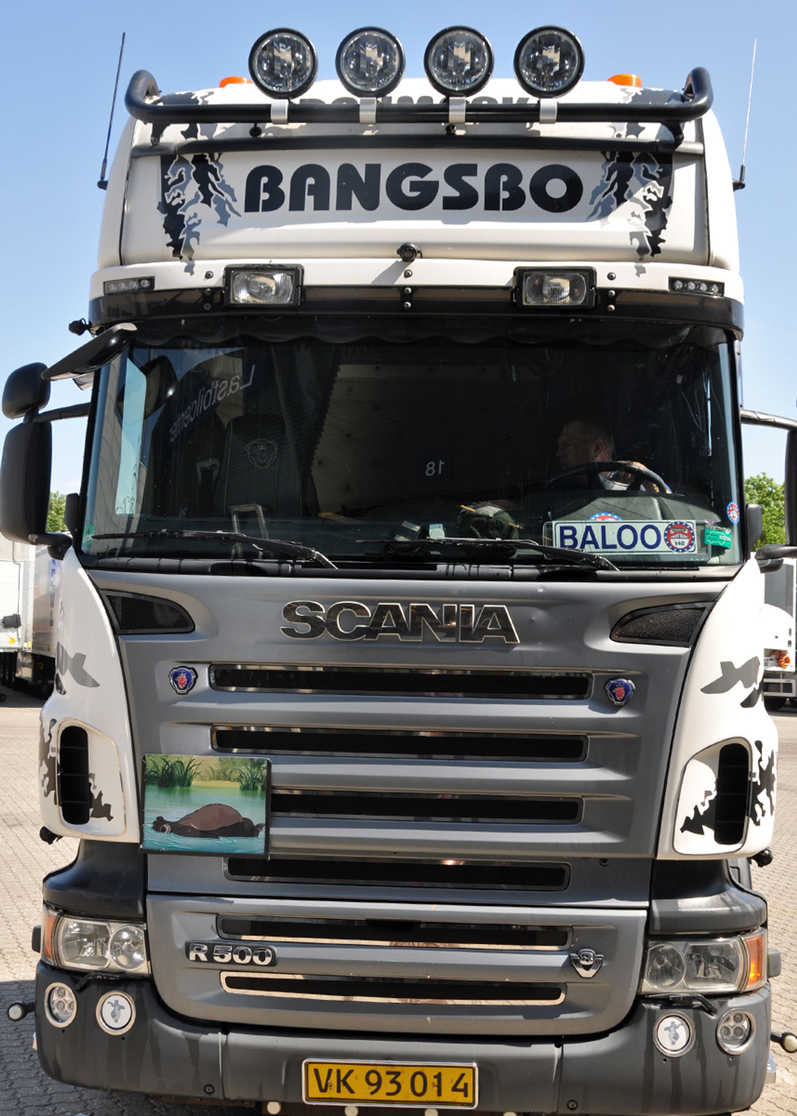 To kameraer er placeret lavt på førerhusets forreste hjørner og optager vandret bagud, mens to kameraer er placeret højt på fronten og optager lodret ned hhv. foran og til højre for lastbilen.