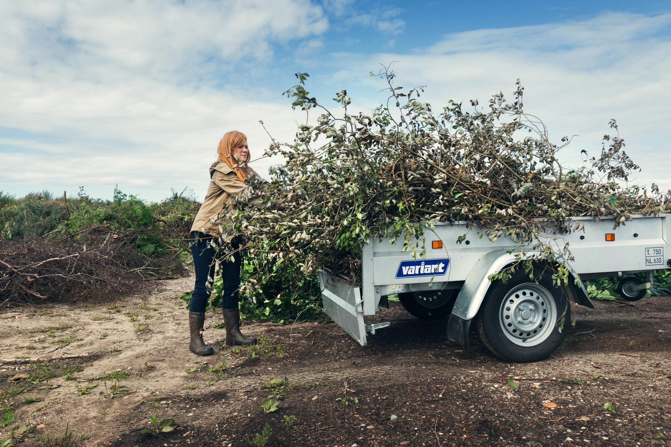 Kvinde i gang med pakke haveaffald på en trailer.