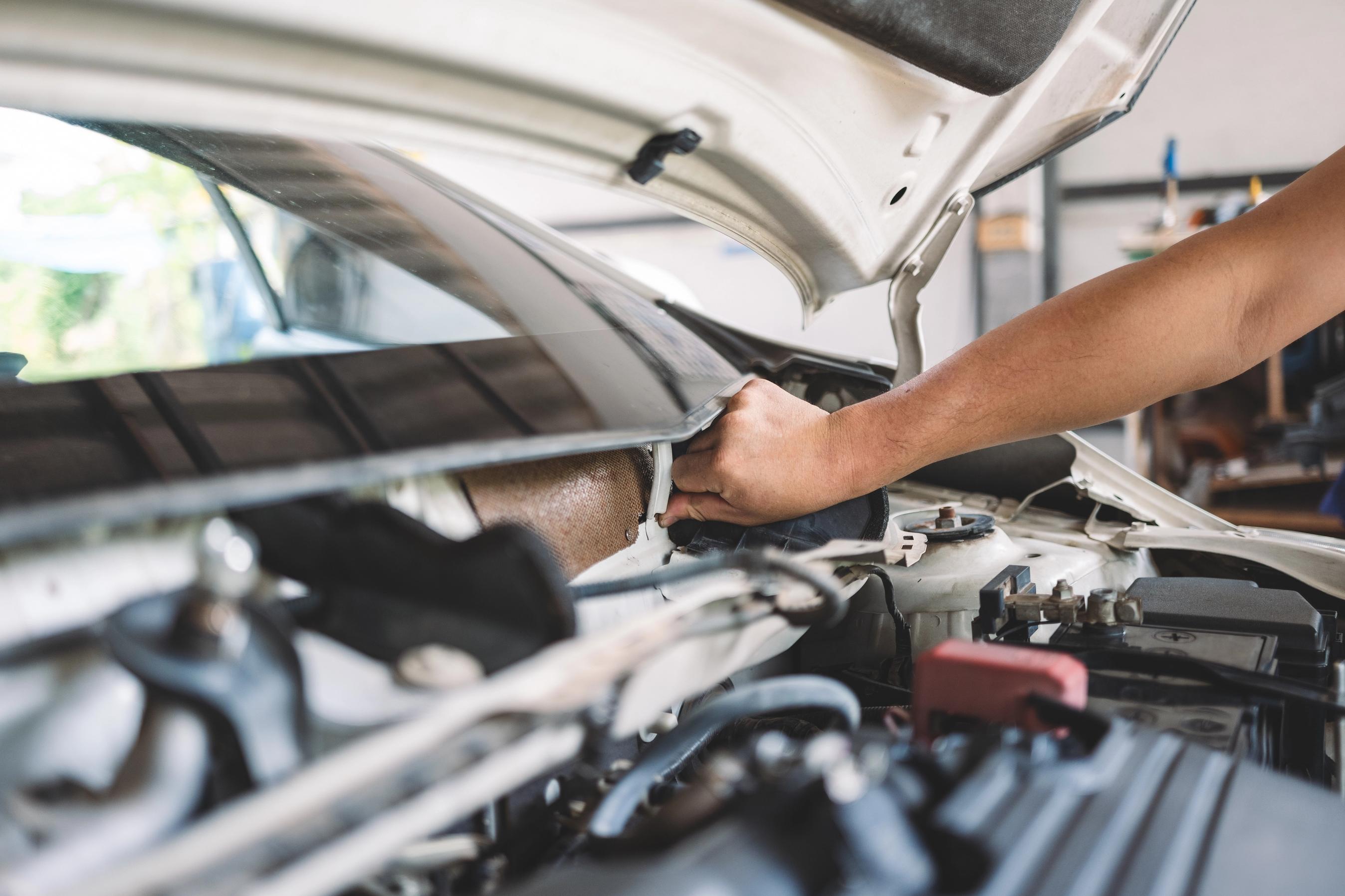 Åbent motorrum på en ældre bil, hvor der tjekkes for skadedyr.