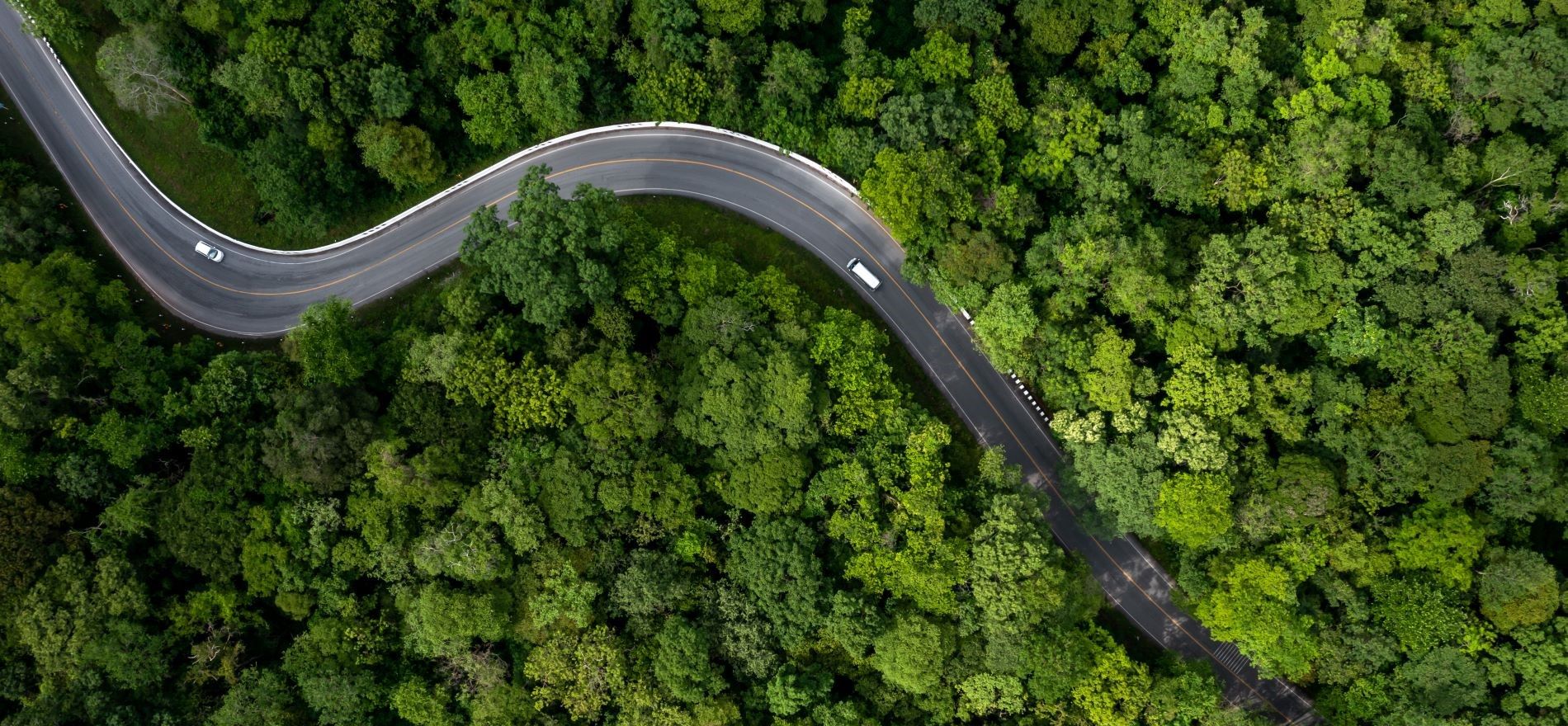 Naturbillede med to hvide biler på en snoret vej