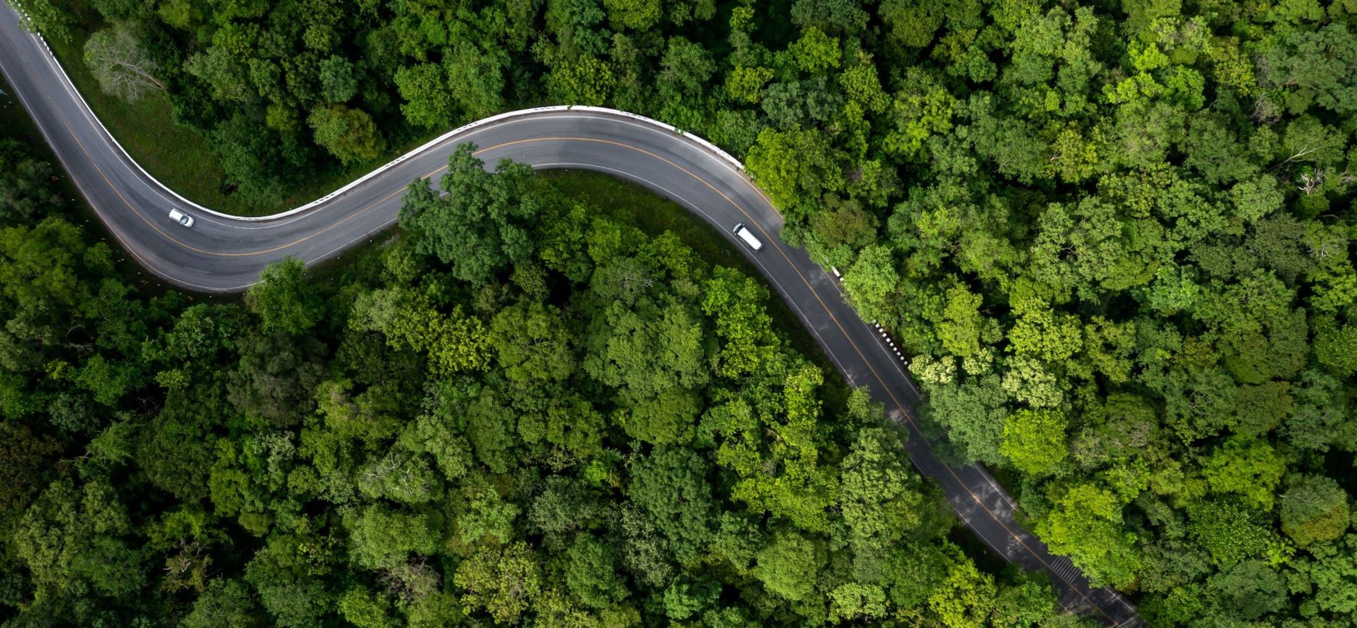 Naturbillede med to hvide biler på en snoret vej