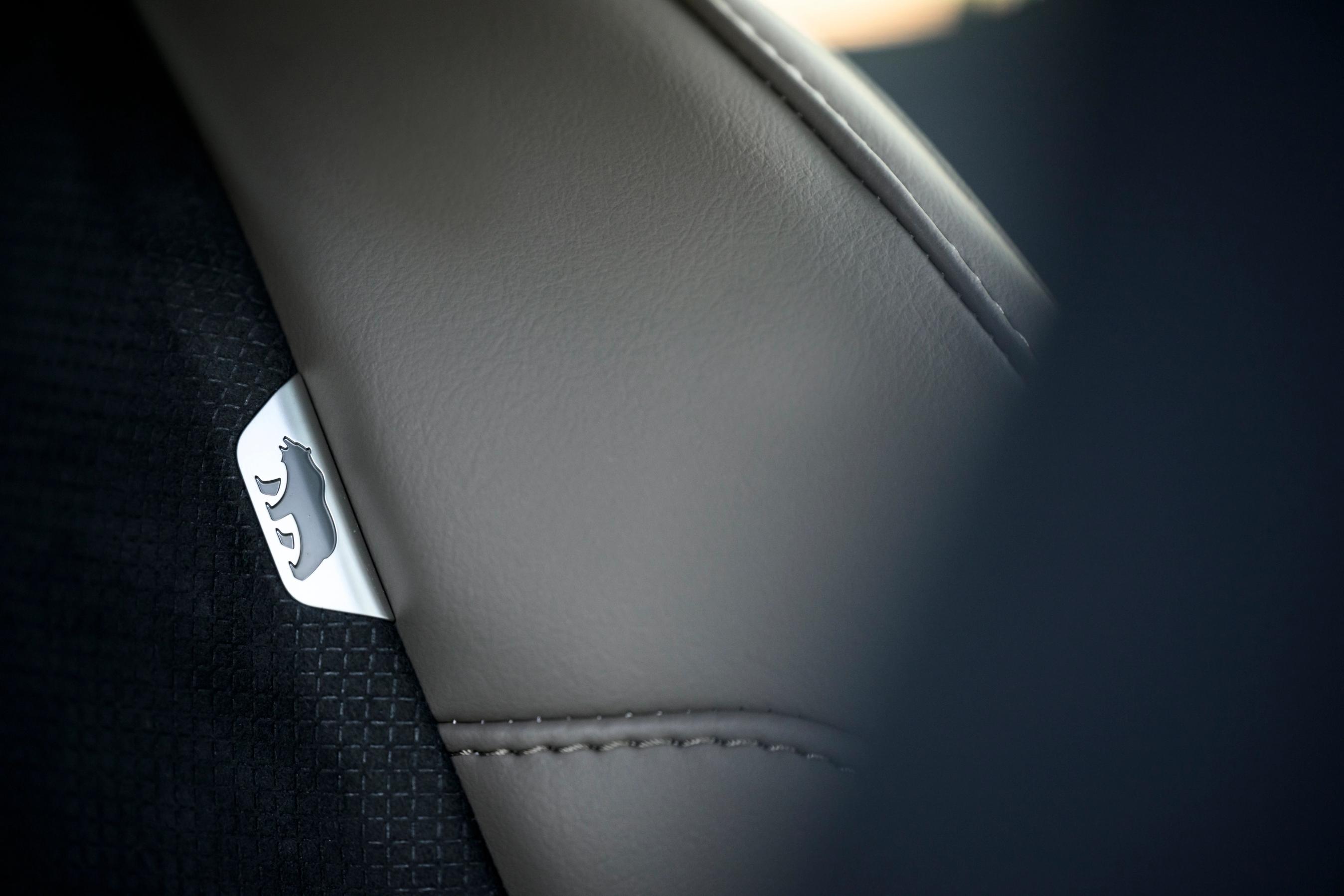 Billede af en af de mange bjørne, der er placeret som symbol flere steder i bilen