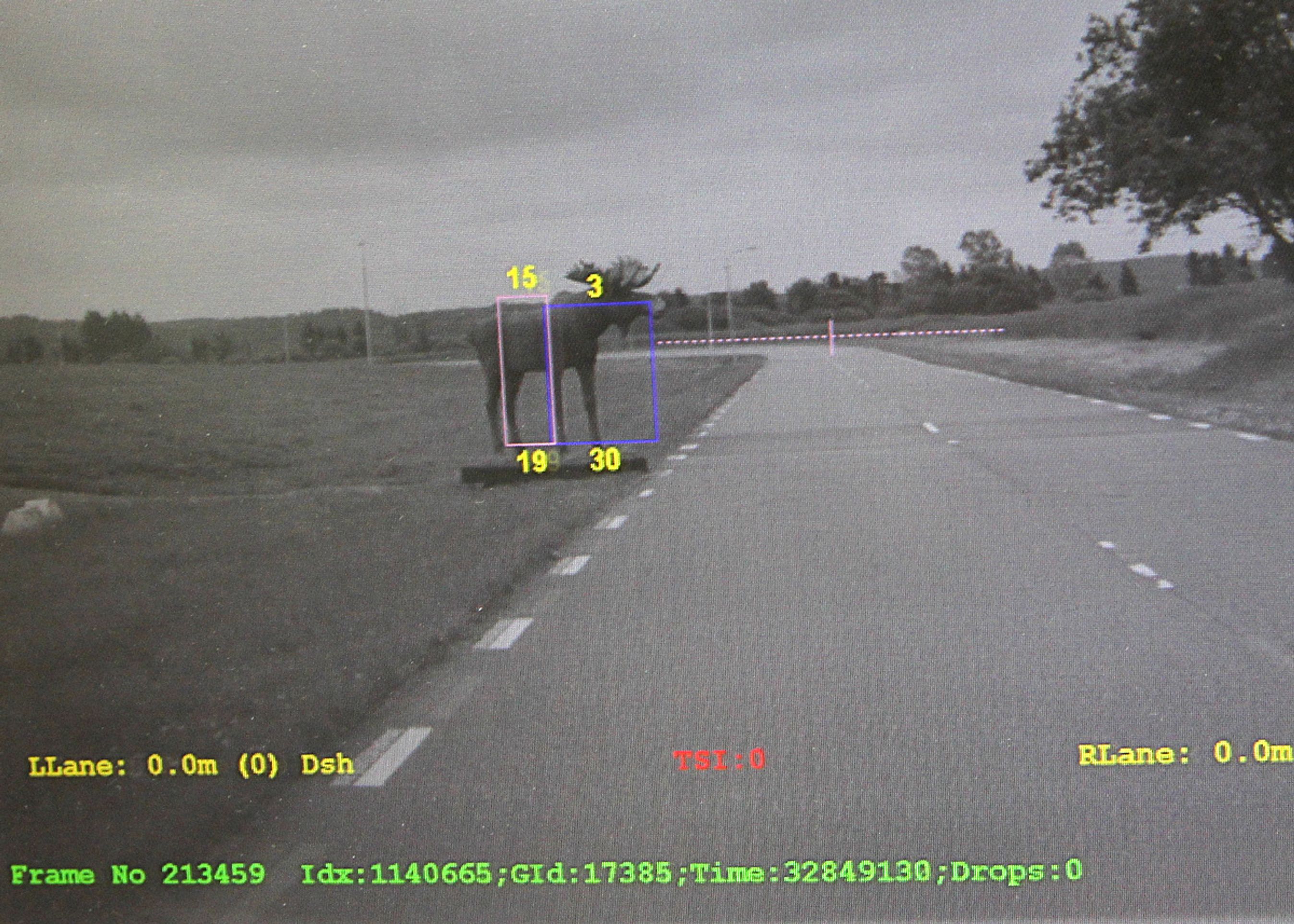 Teknologien virker via billedgenkendelse. Computeren har her genkendt genstanden som en elg, og laser bedømmer afstanden og dyrets fart og kurs.