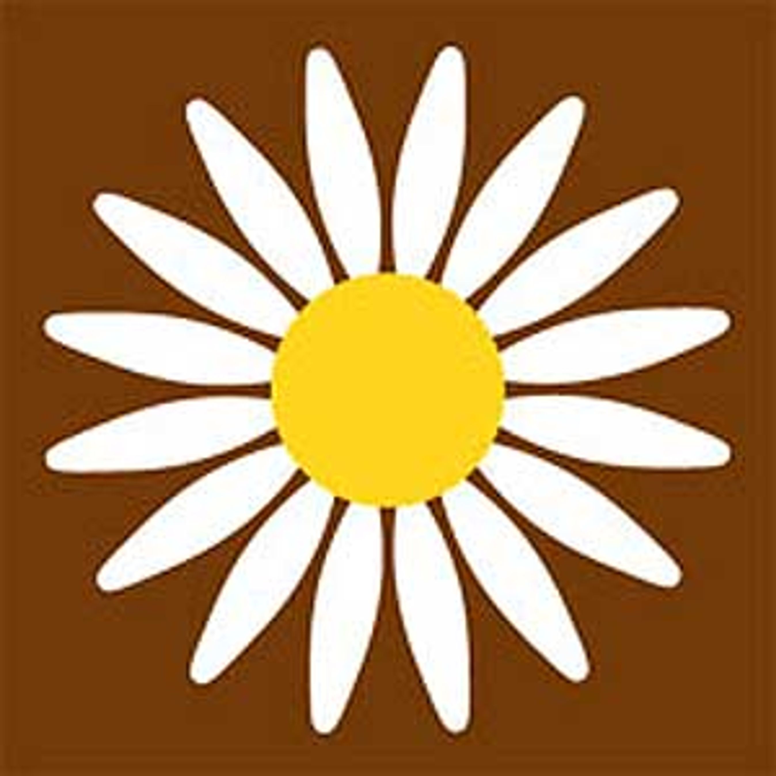 Lad efterårets køretur følge en af marguerite ruterne