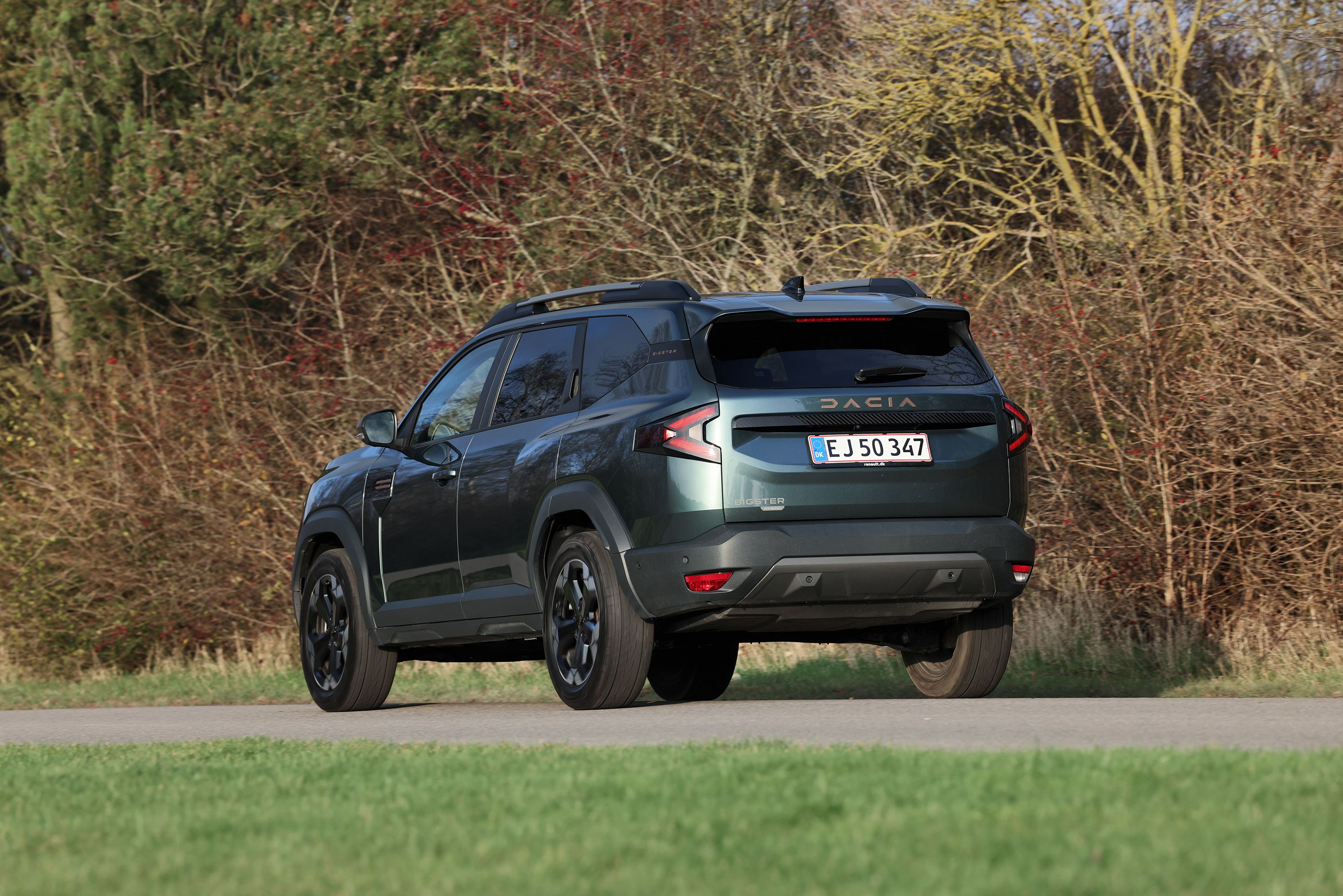 Dacia Bigster set bagfra med buske i baggrunden