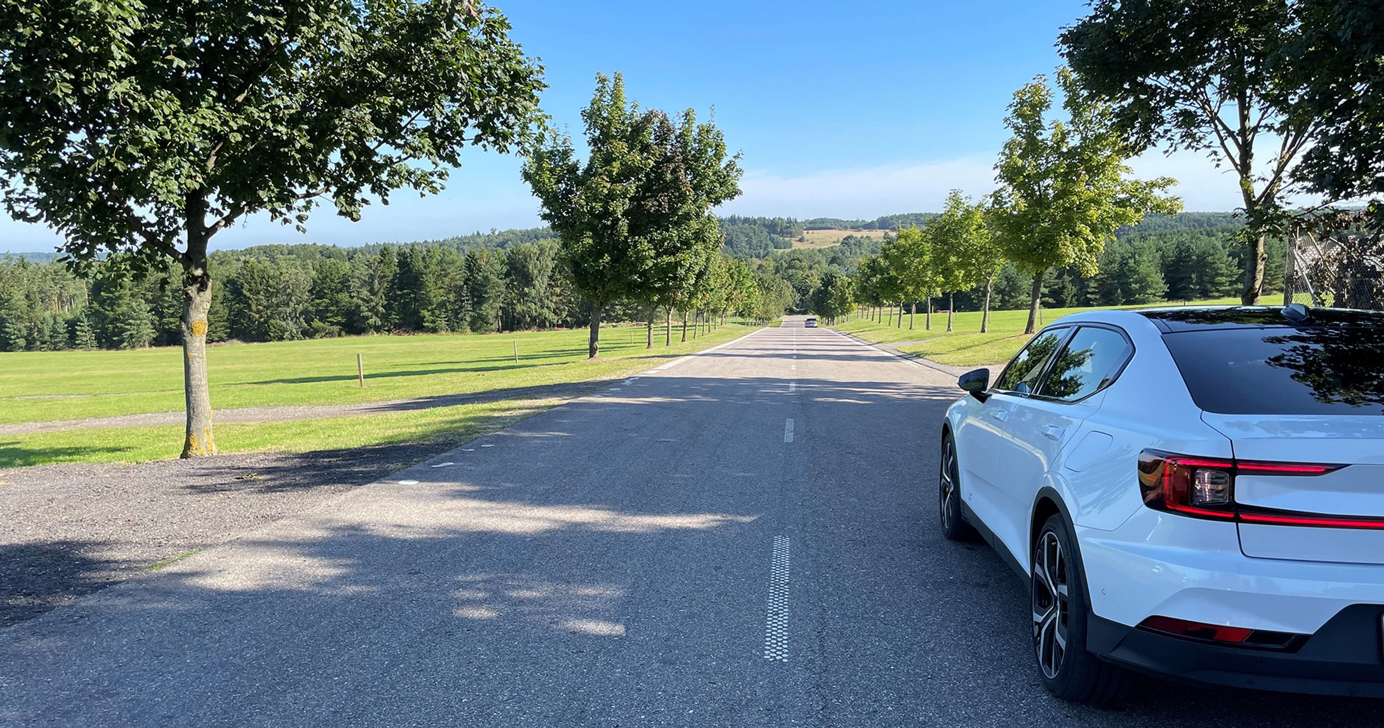 Hvid bil kører ud ad vej med træer på begge sider.