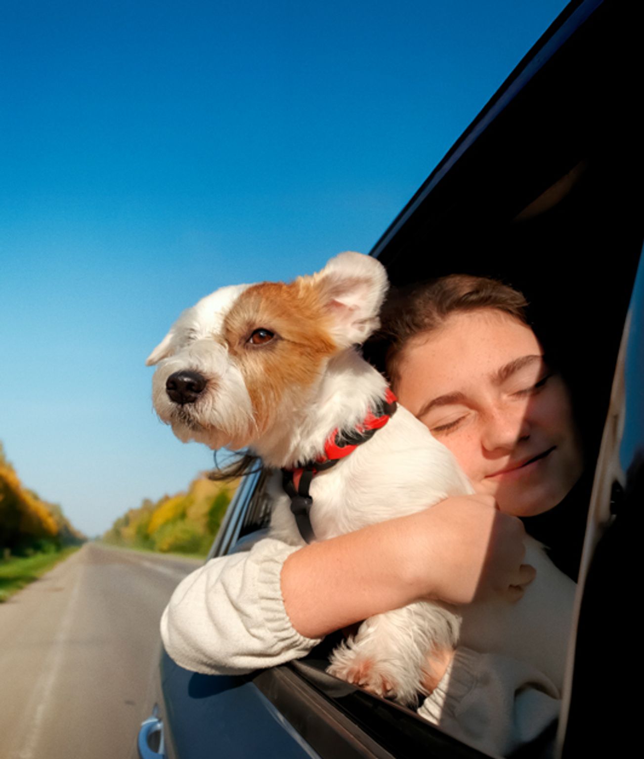 Hund sidder i vindue på bilen og nyder luften, mens ejer holder om hunden med lukkede øjne