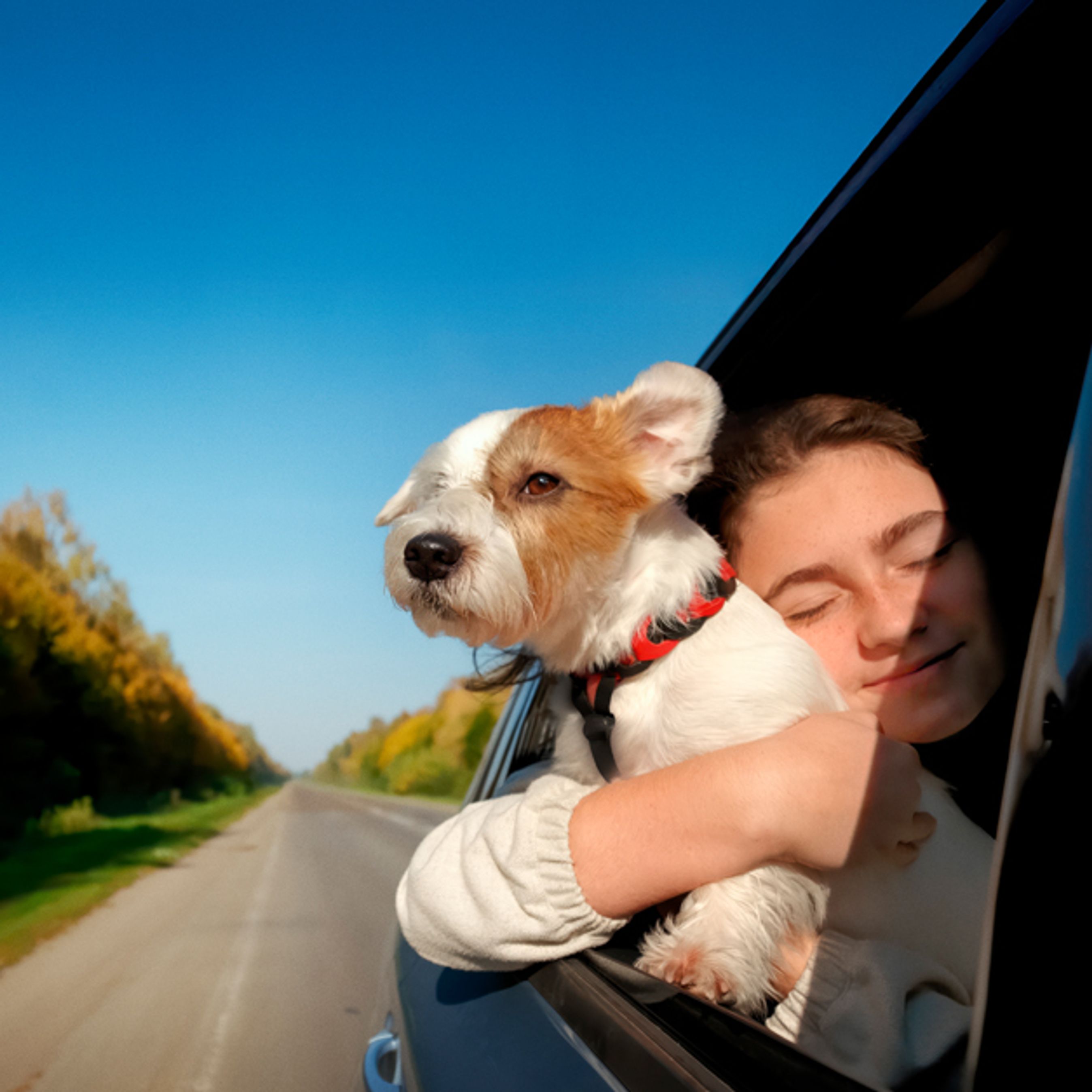 Hund sidder i vindue på bilen og nyder luften, mens ejer holder om hunden med lukkede øjne