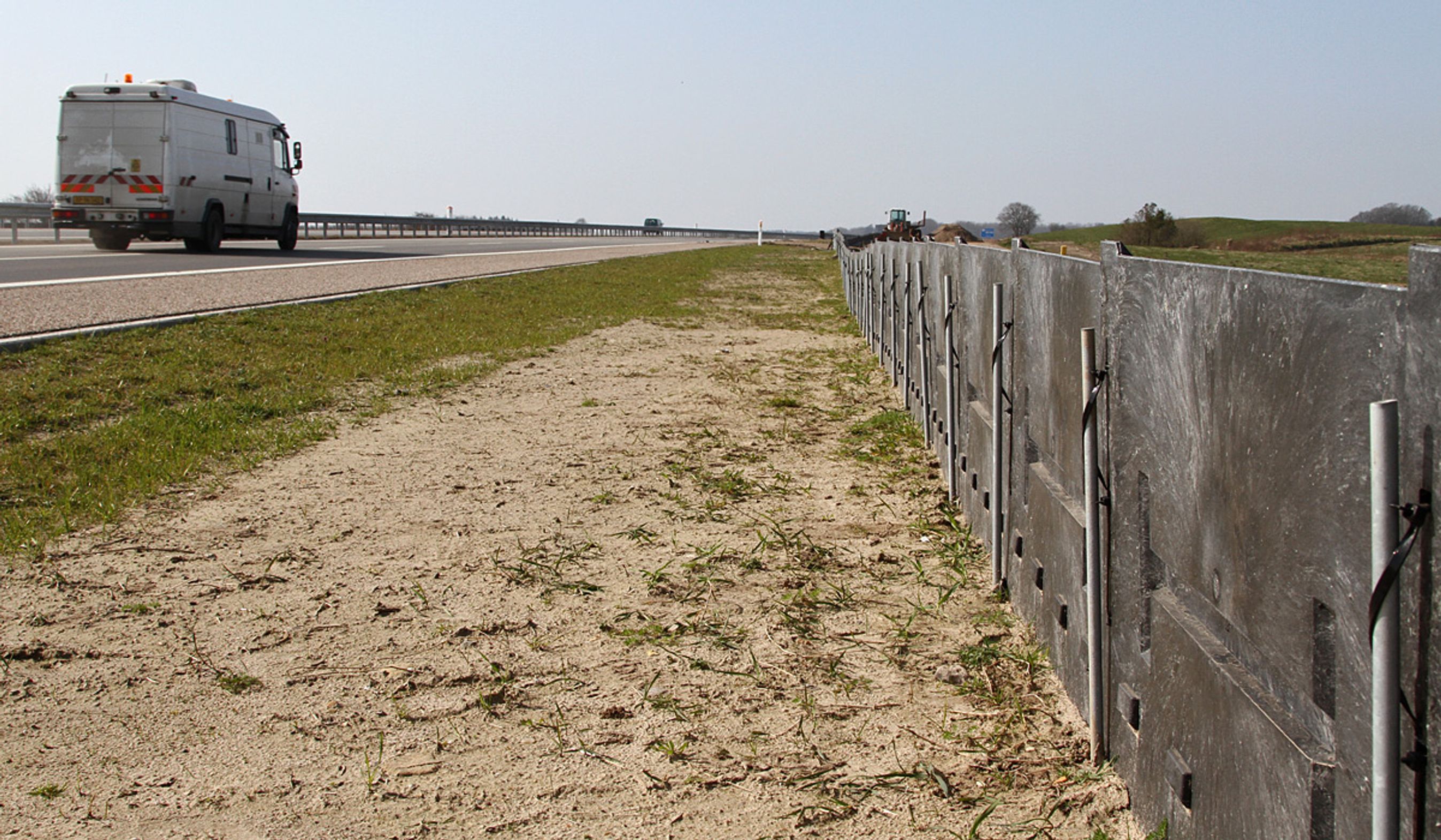 Der er opsat 17 km paddehegn langs Sønderborgmotorvejen.