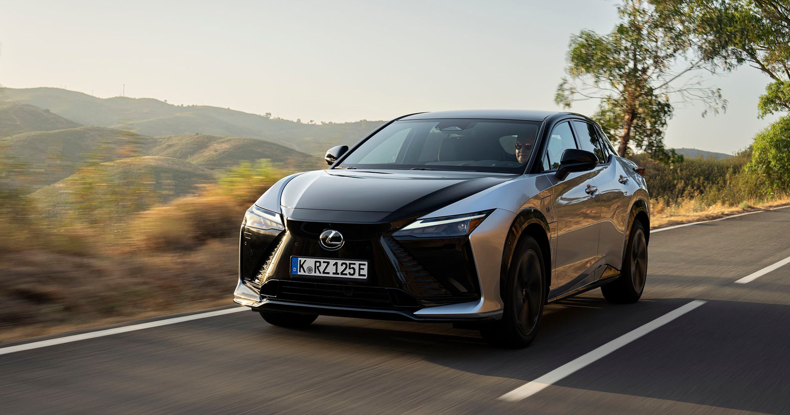 Lexus RZ set forfra med landskab i baggrunden