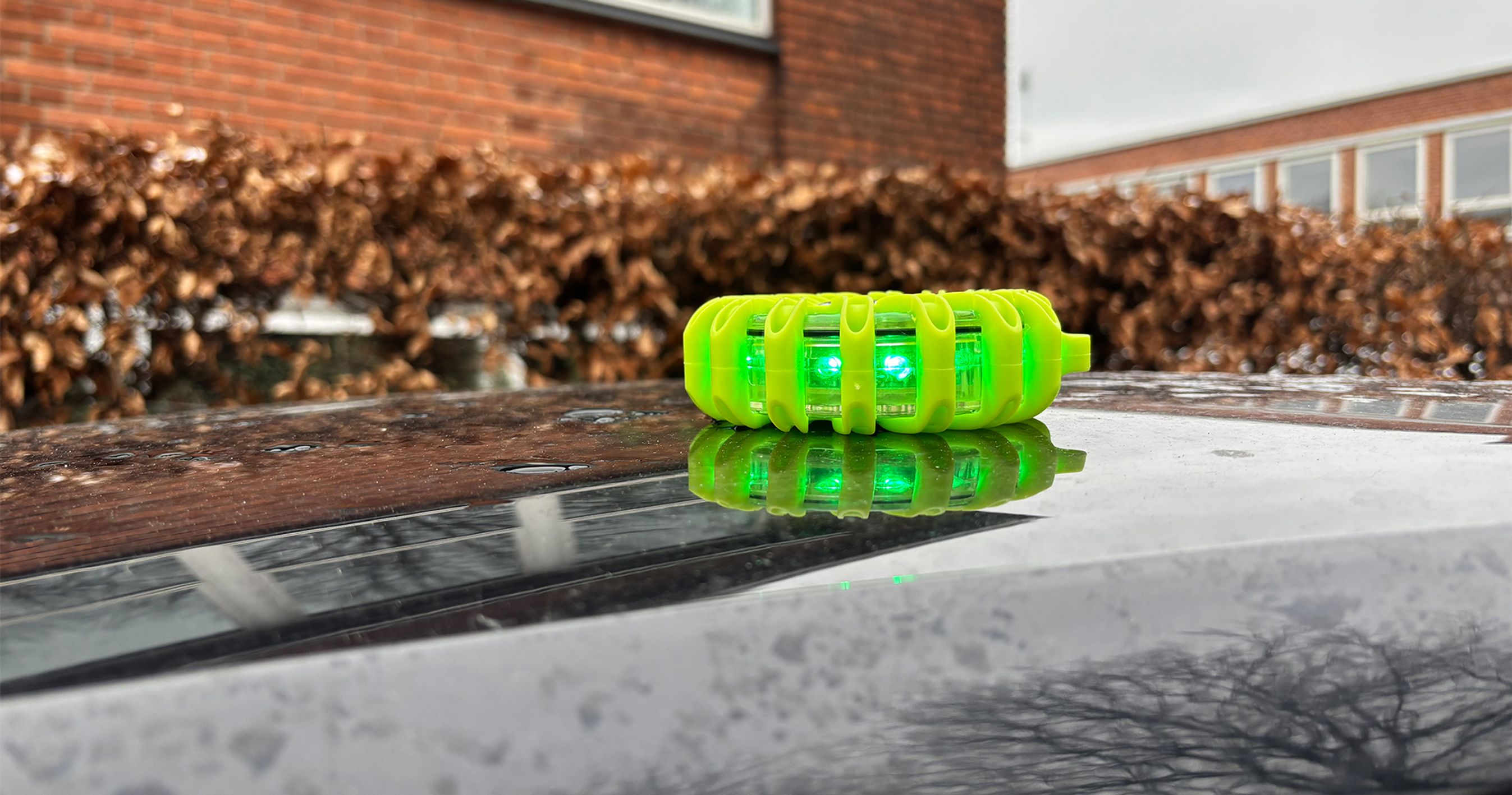 Grønt blik på taget af bil