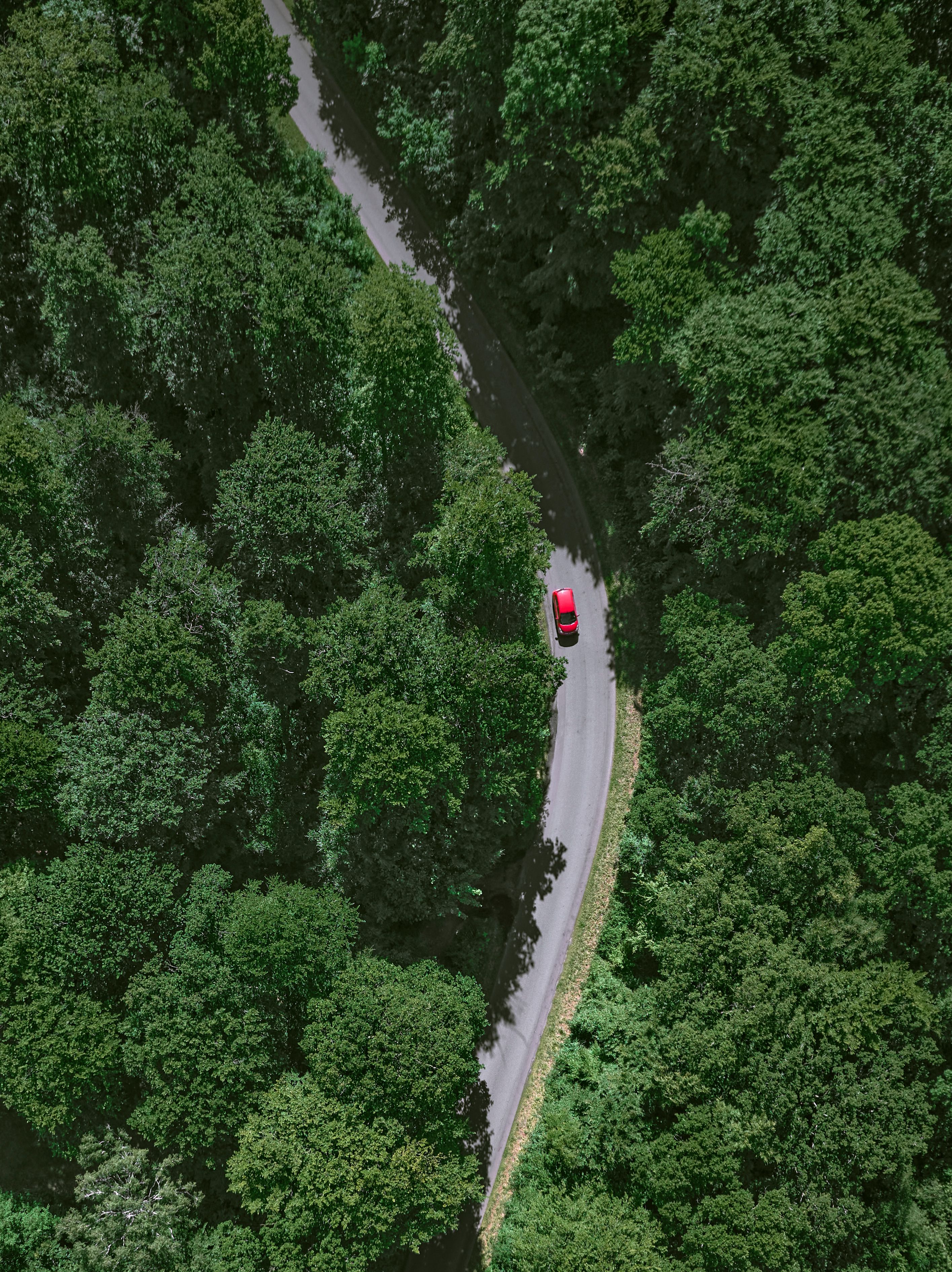 Rød bil set fra oven på en vej i en skov