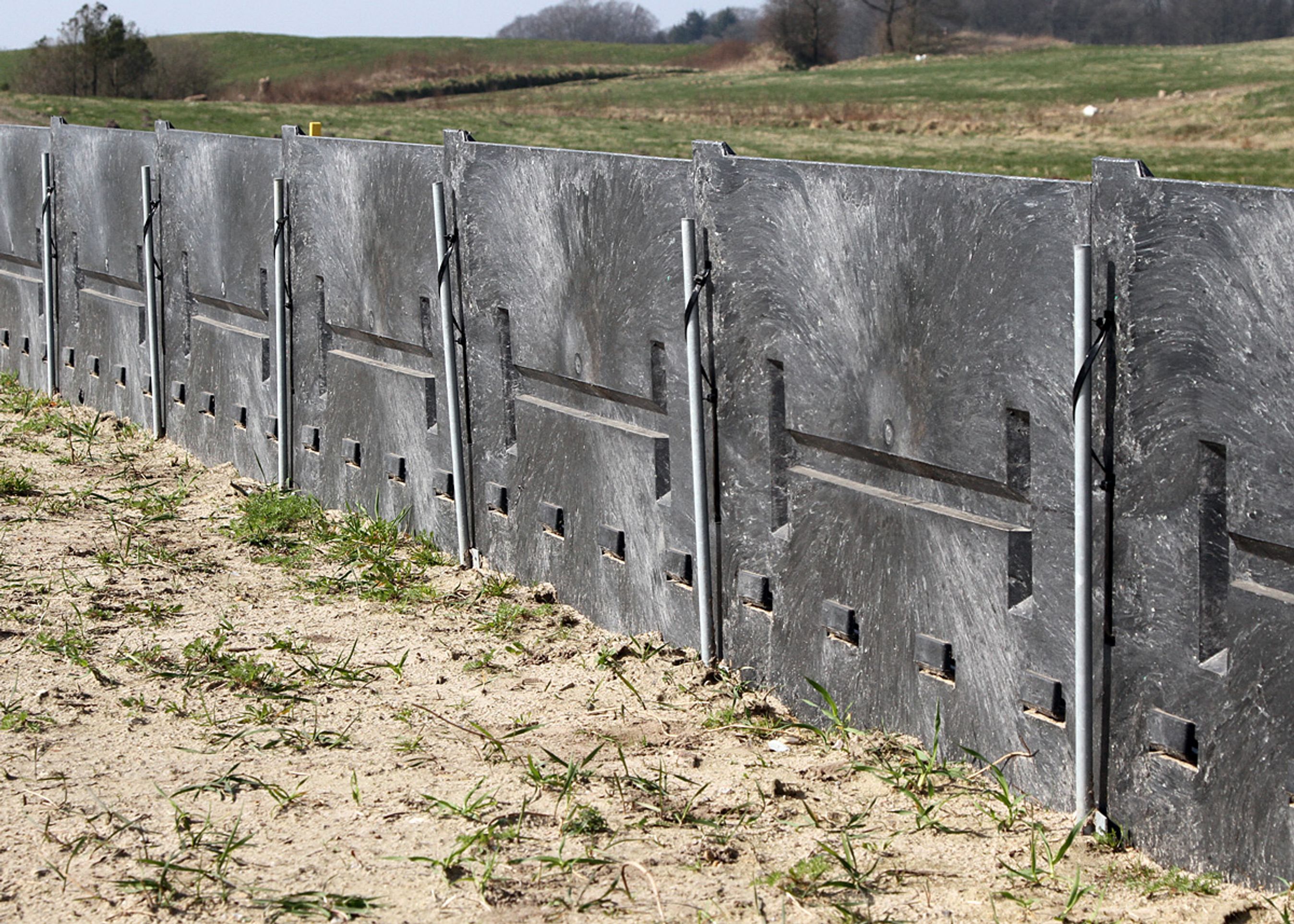 Frøer og andre padder får svært ved at forcere dette høje hegn, som der er 17 km af (begge sider lagt sammen) på den 26 km lange strækning.