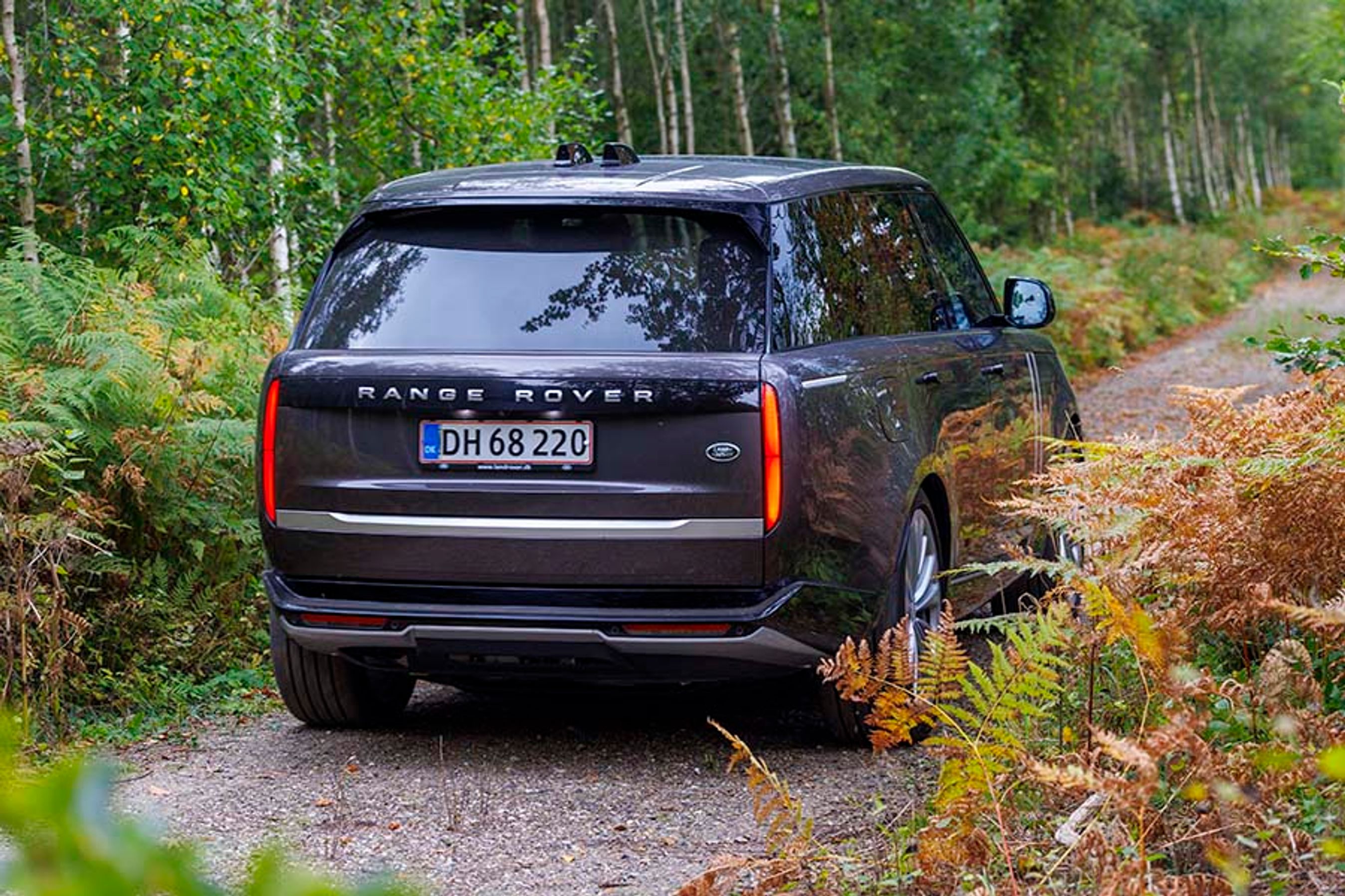 Bagenden af bilen er et studie i design. Når baglygterne er slukkede, er lygtefelterne helt sorte og indgår blot som en del af bilens bagende. Bemærk, at der er hele to antenner på taget.