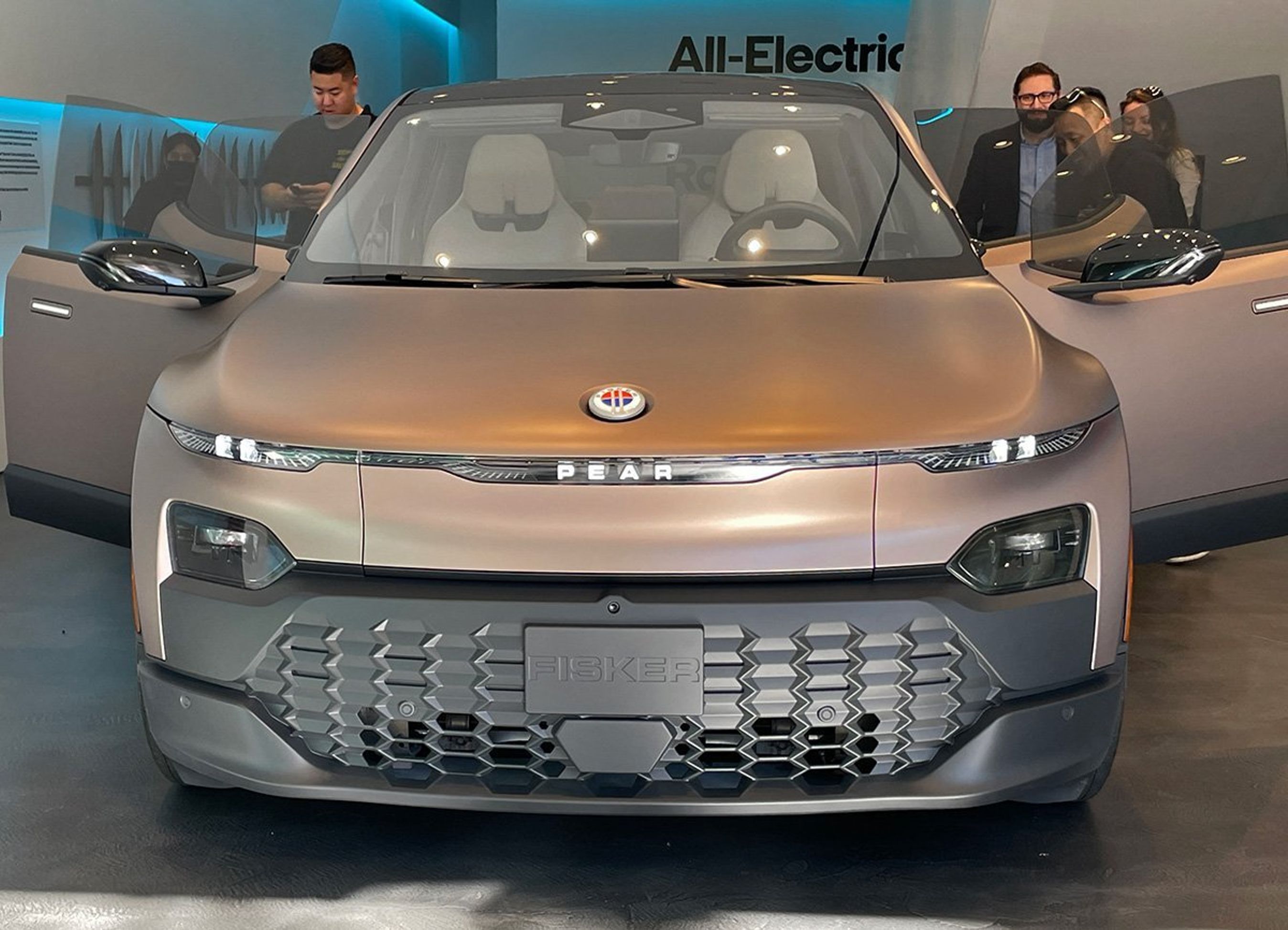 Fisker Pear lige forfra.