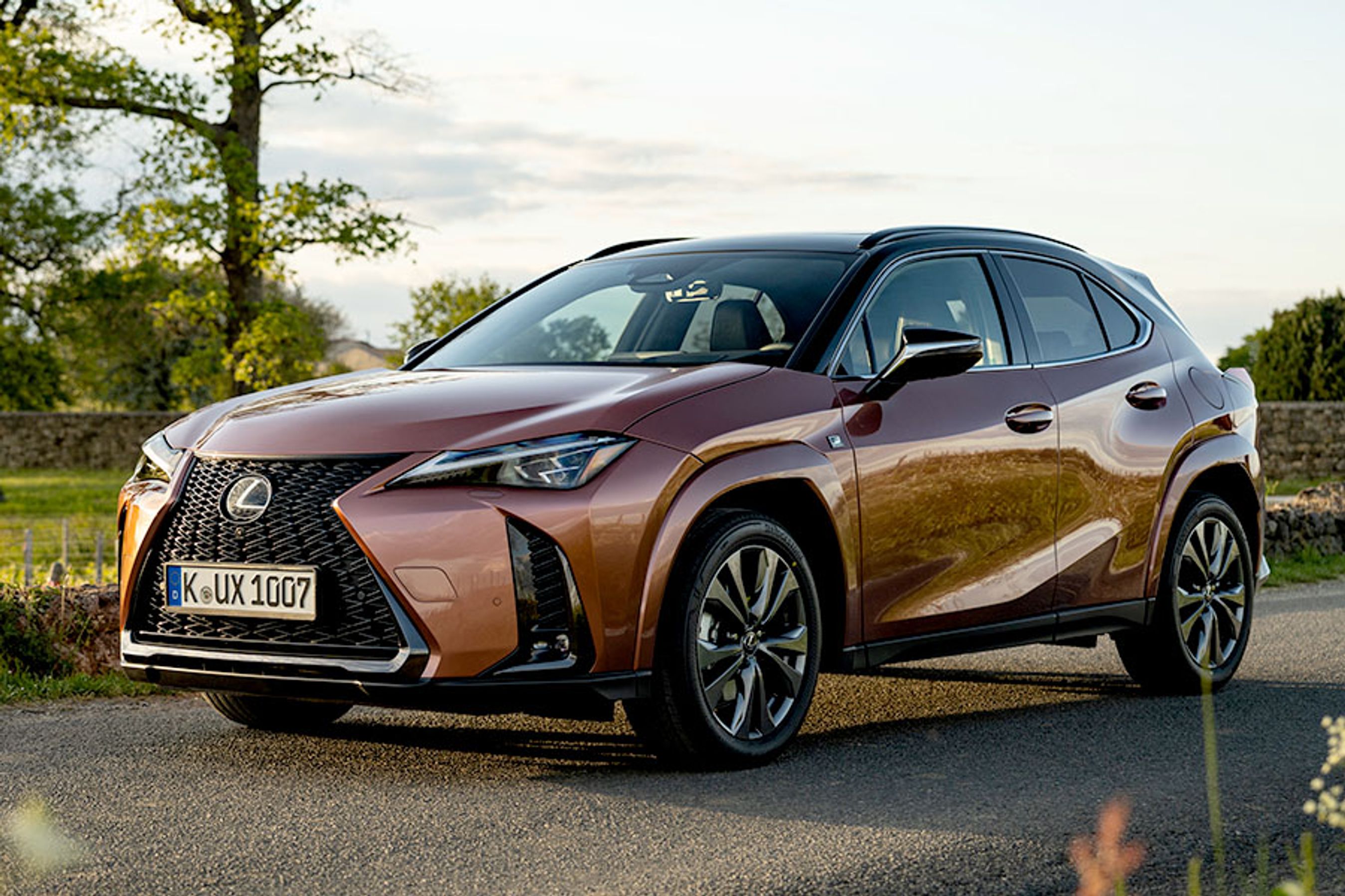 Lexus UX 300h er nyeste skud på stammen fra det japanske luksusmærke fra Toyota-koncernen. Der er tale om en mellemklasse SUV med nyeste femte generation af en hybridmotor, der giver bilen en flot benzinøkonomi.
