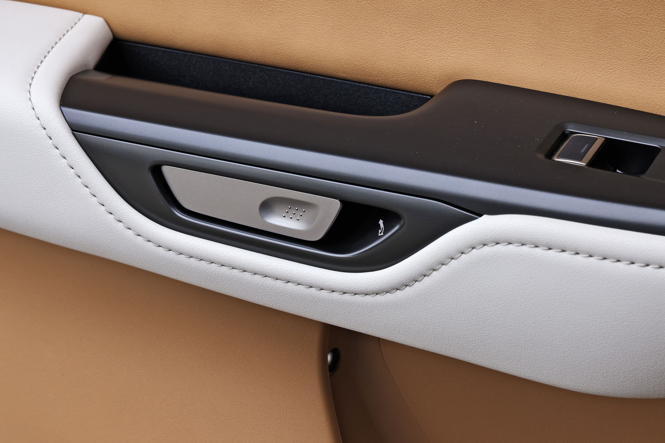 Døren i en Lexus RZ åbnes ved tryk på en knap