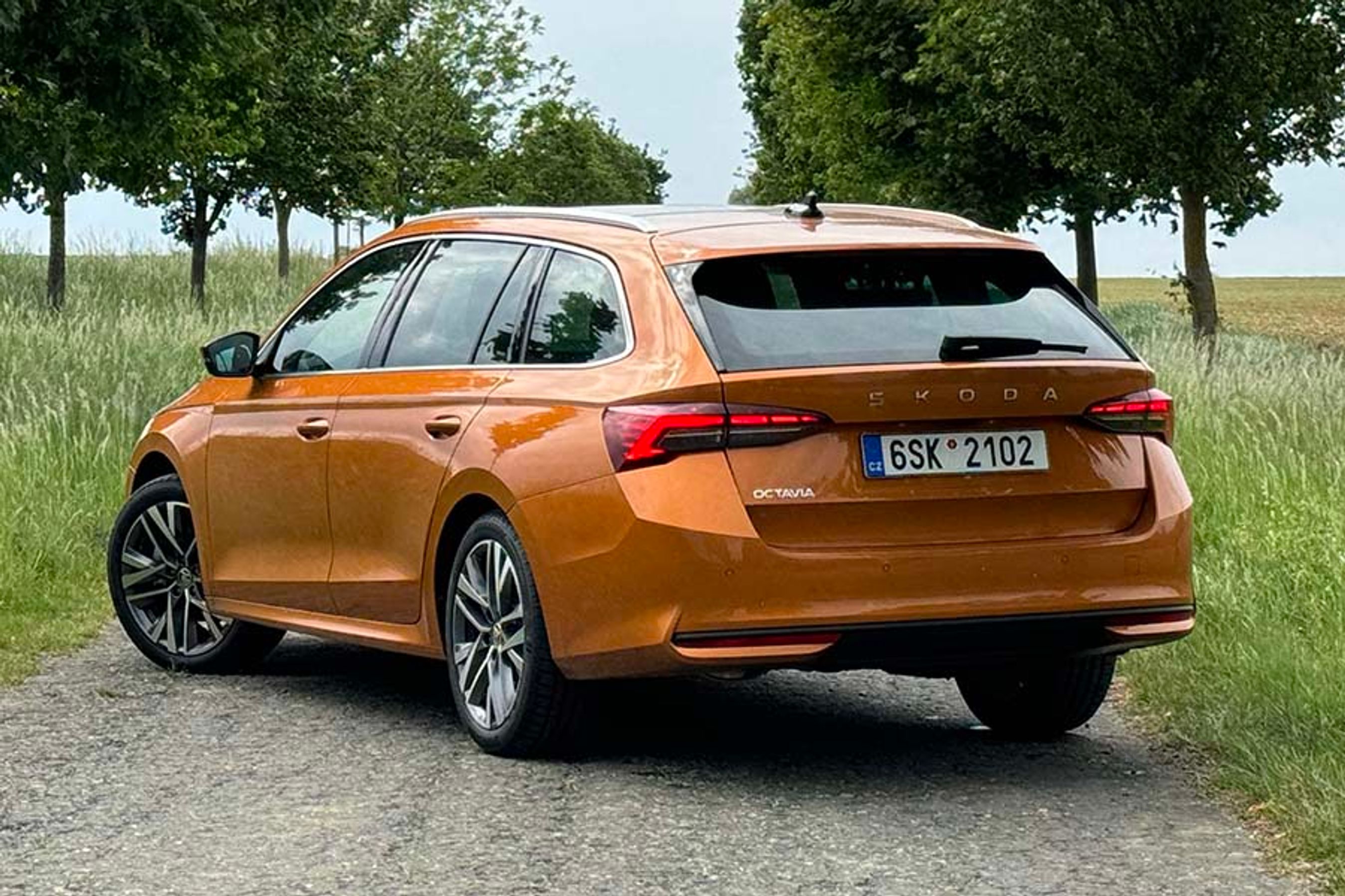 Skoda Octavia set bagfra