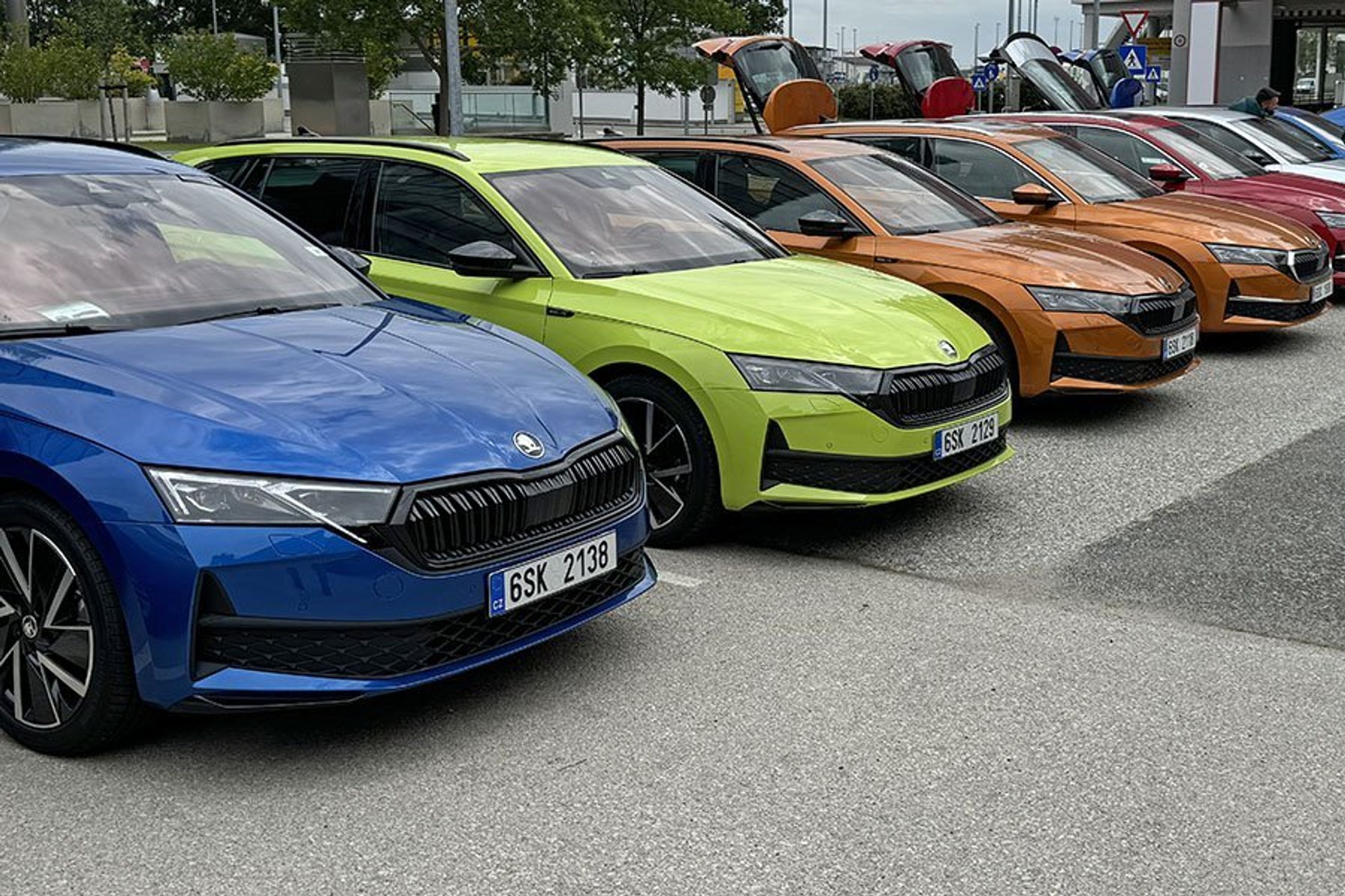Skoda Octaviaer i flere farver på række