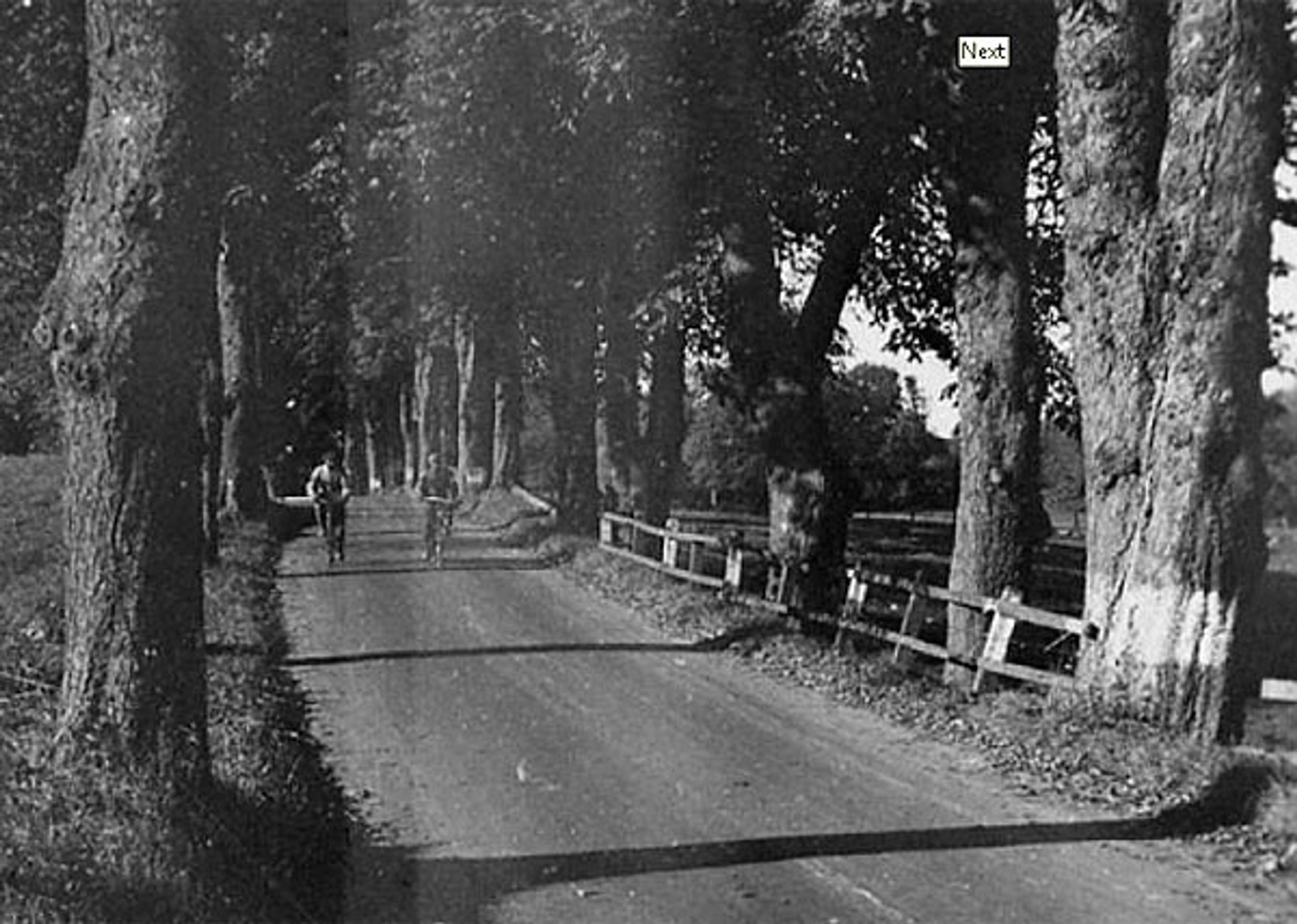 Fra dengang da landeveje ikke havde asfaltbelægning, og der stadig var rigtige vejtræer til.