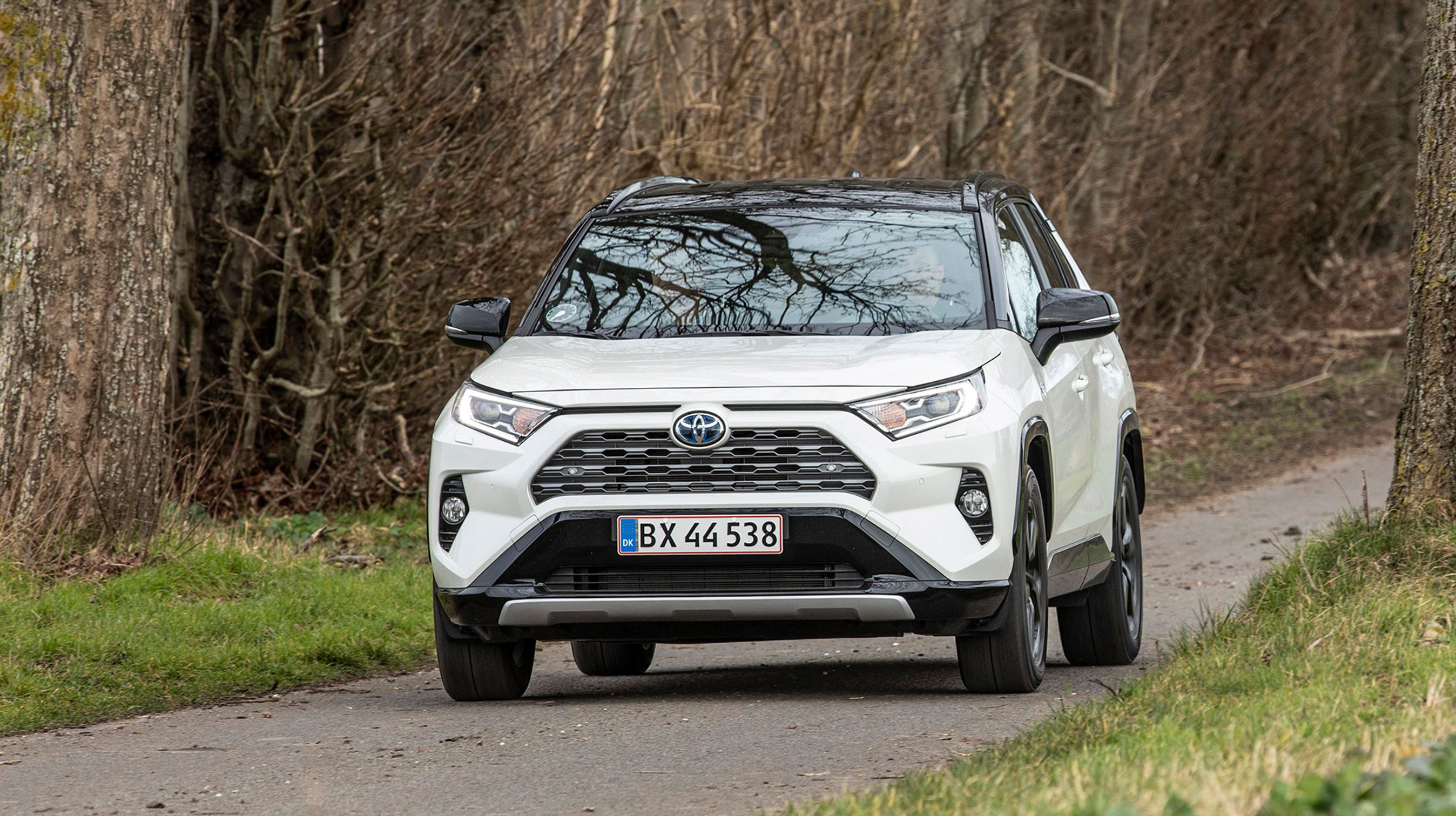 Toyota RAV4 kom tidligere på året i en helt ny generation med skarpe linjer og mulighed for tofarvet lakering.
