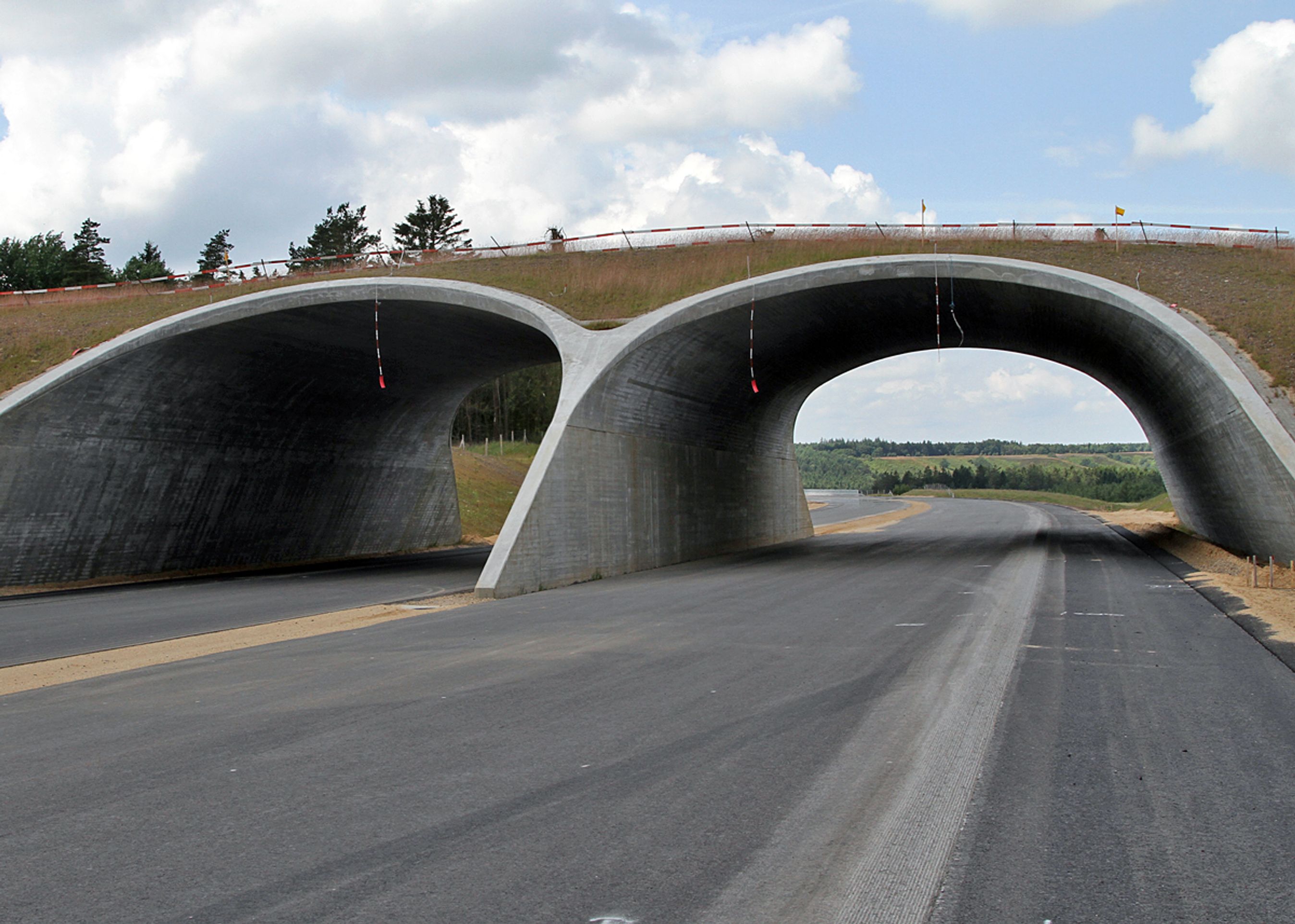 Lige øst for dalbroen møder bilisterne denne dyrebro over vejen.