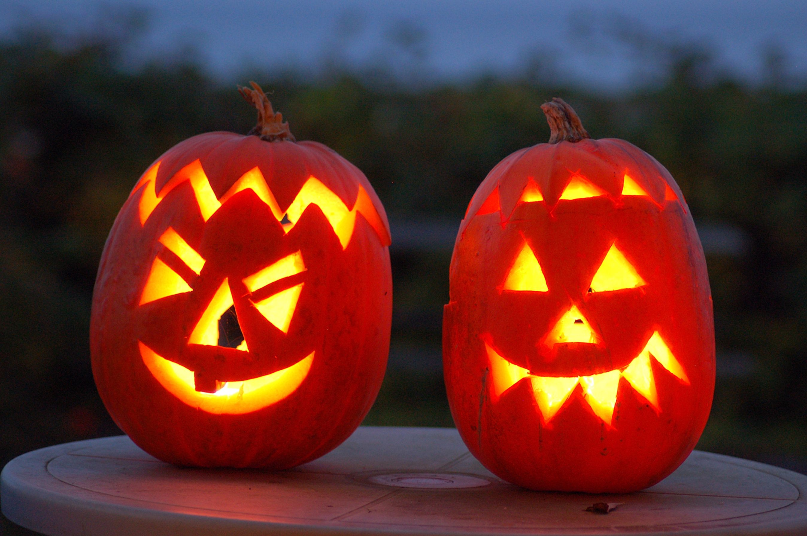 Sjove medlemsfordele i efterårsferien