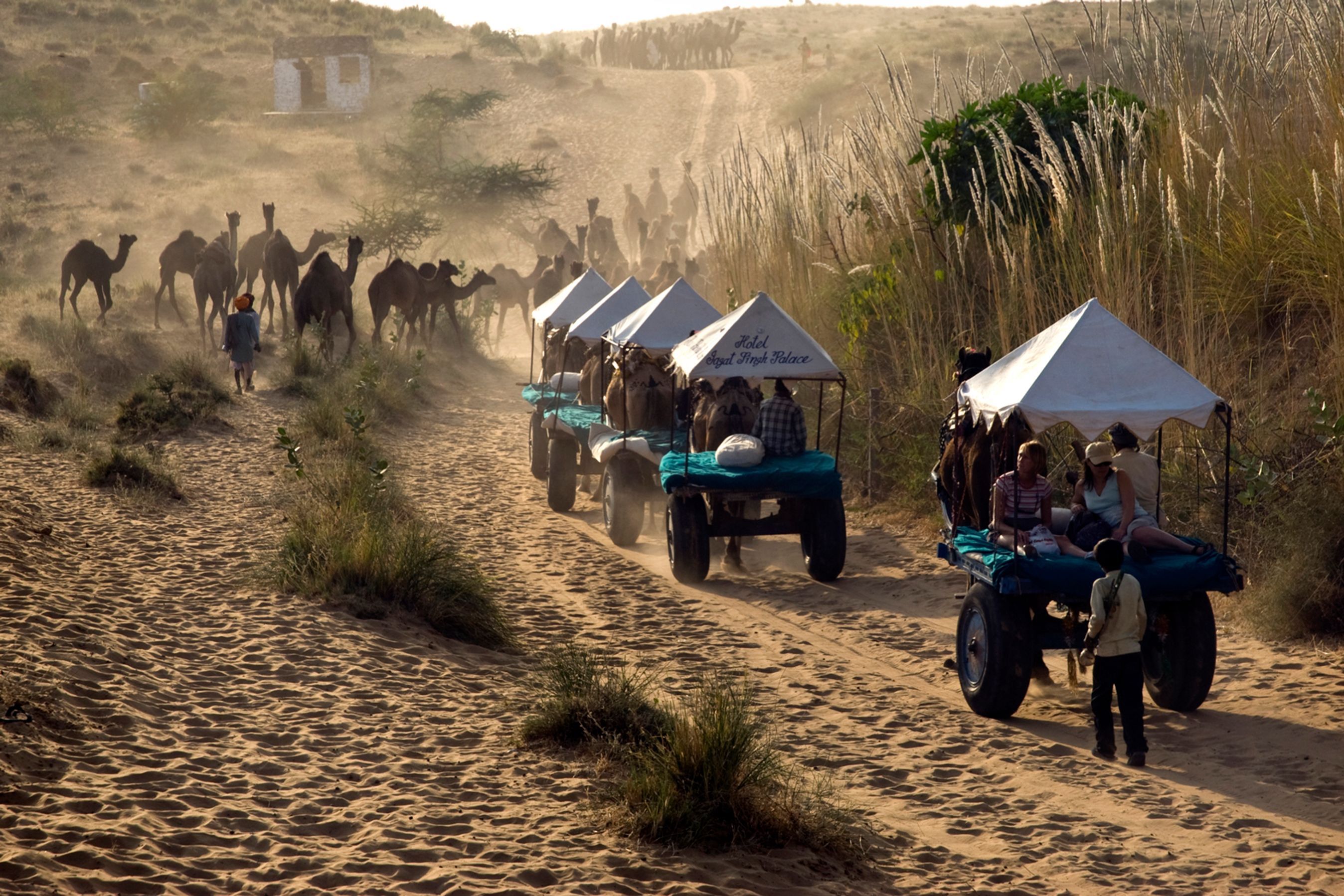 Turismen i Sydasien - her Rajasthan, Indien - steg med 14 procent i årets første kvartal