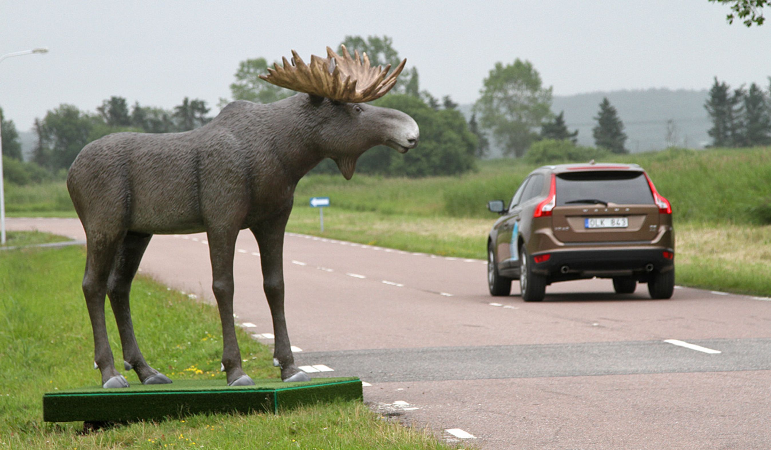 Fra 2015 kan nye Volvo'er opdage dyr og bremse for dem.