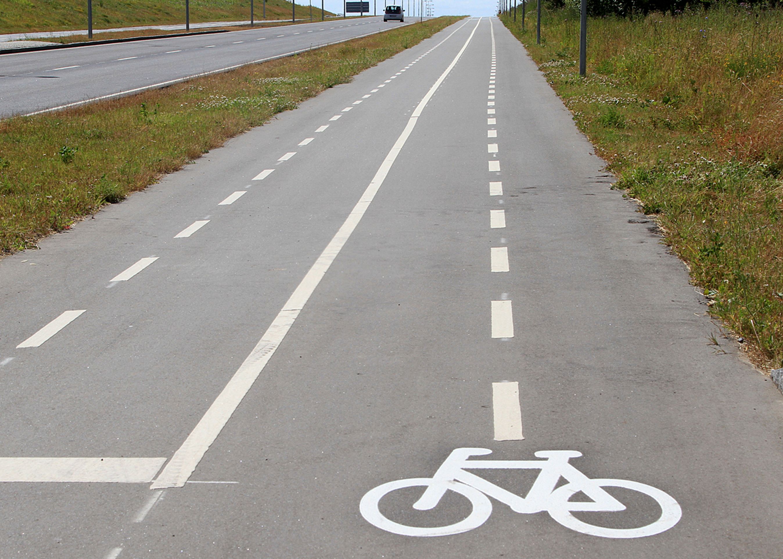 Sammen med broen er der anlagt en firesporet højhastighedscykelsti, der dog her skal deles med fodgængere.