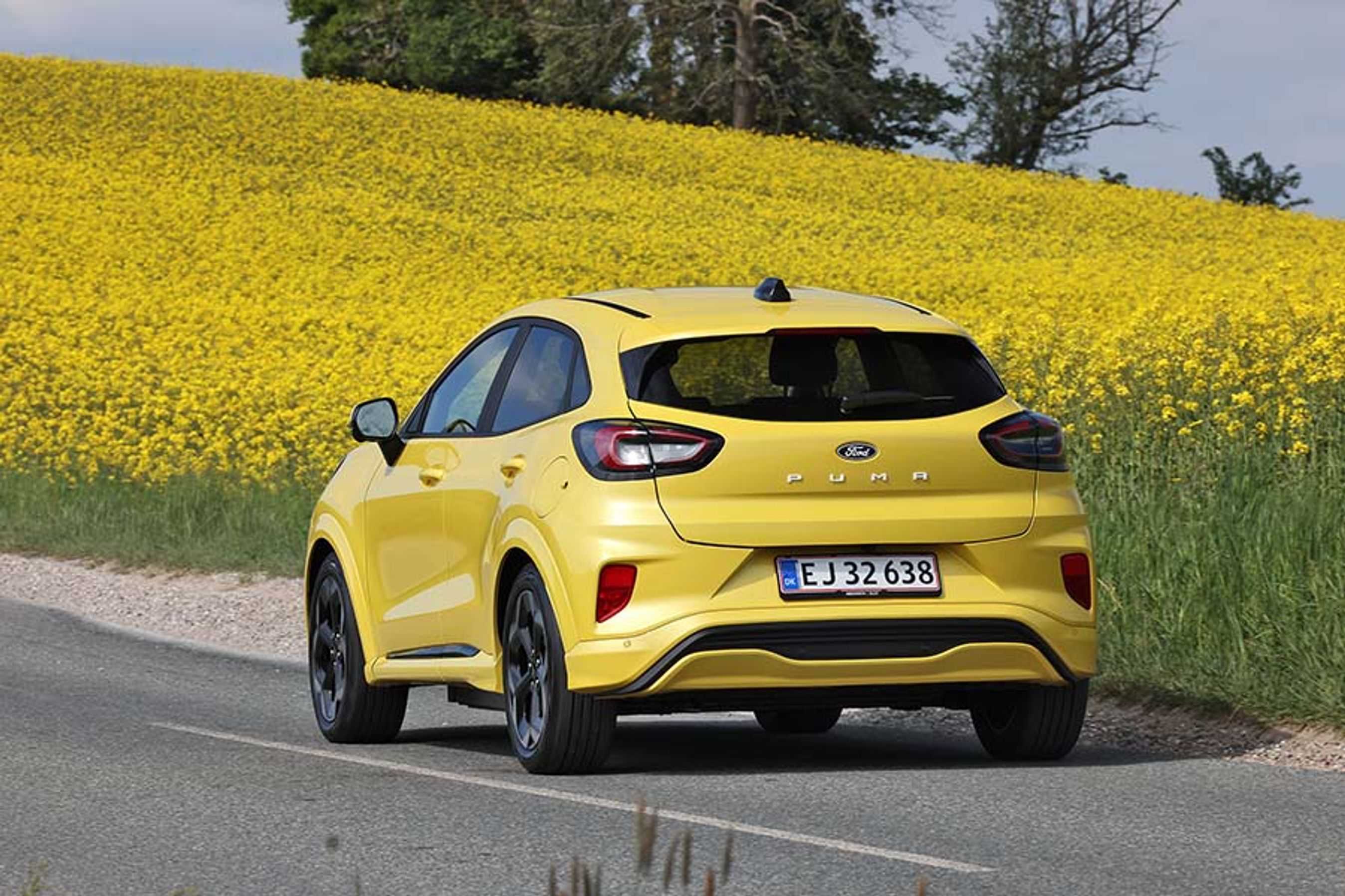 Gul Ford Puma set bagfra, mens den kører på vej med rapsmarker i baggrunden