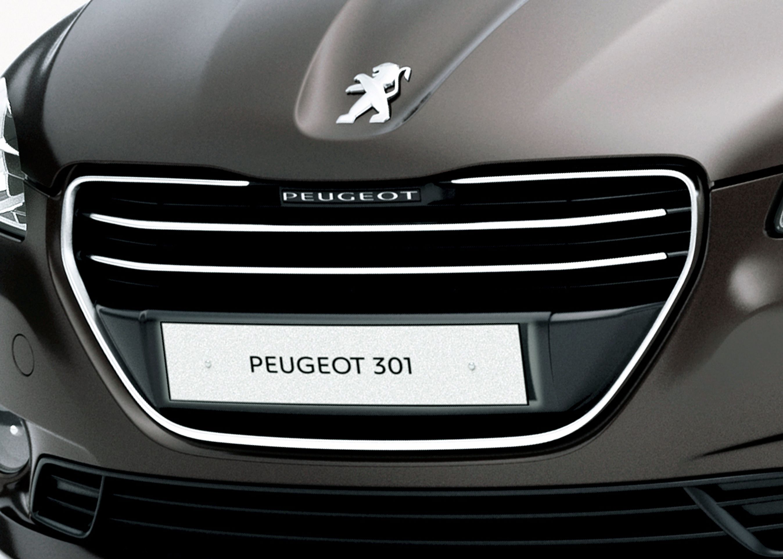 301 er en bil til prisfølsomme vækstmarkeder, hvor modellerne altid vil hedde noget med X01, mens de hos os får navne af typen X08 eller X008.