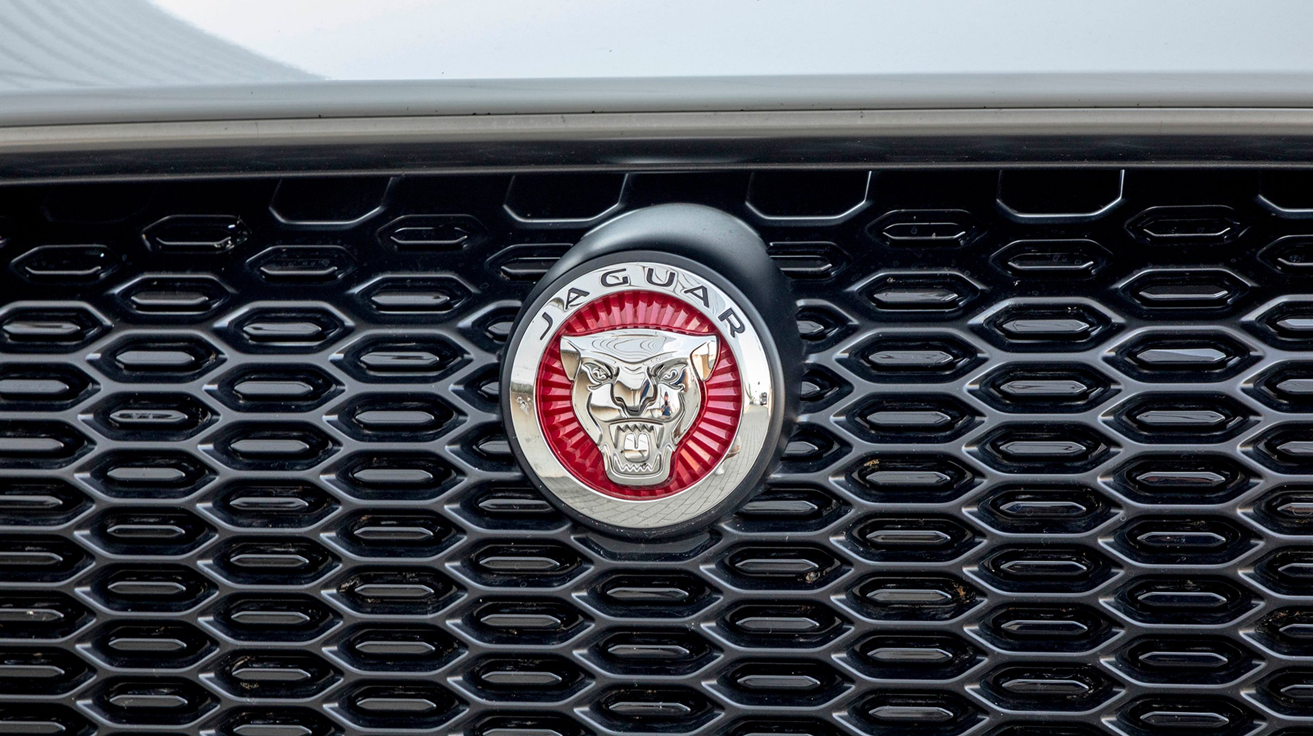 Jaguar-logoet pryder fronten på samme måde, som man ser det på mærkets mere traditionelle biler.