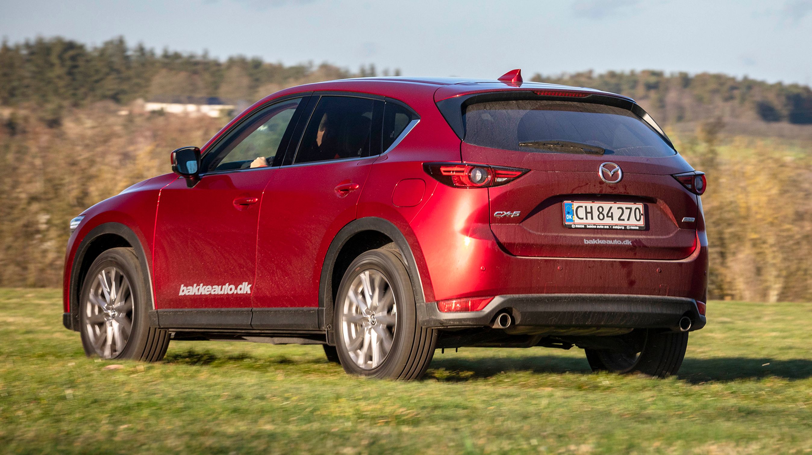 Plastpaneler langs bilens sider og hjulkasser giver bilen et offroader-lignende ydre, men denne udgave trækker kun på to hjul.