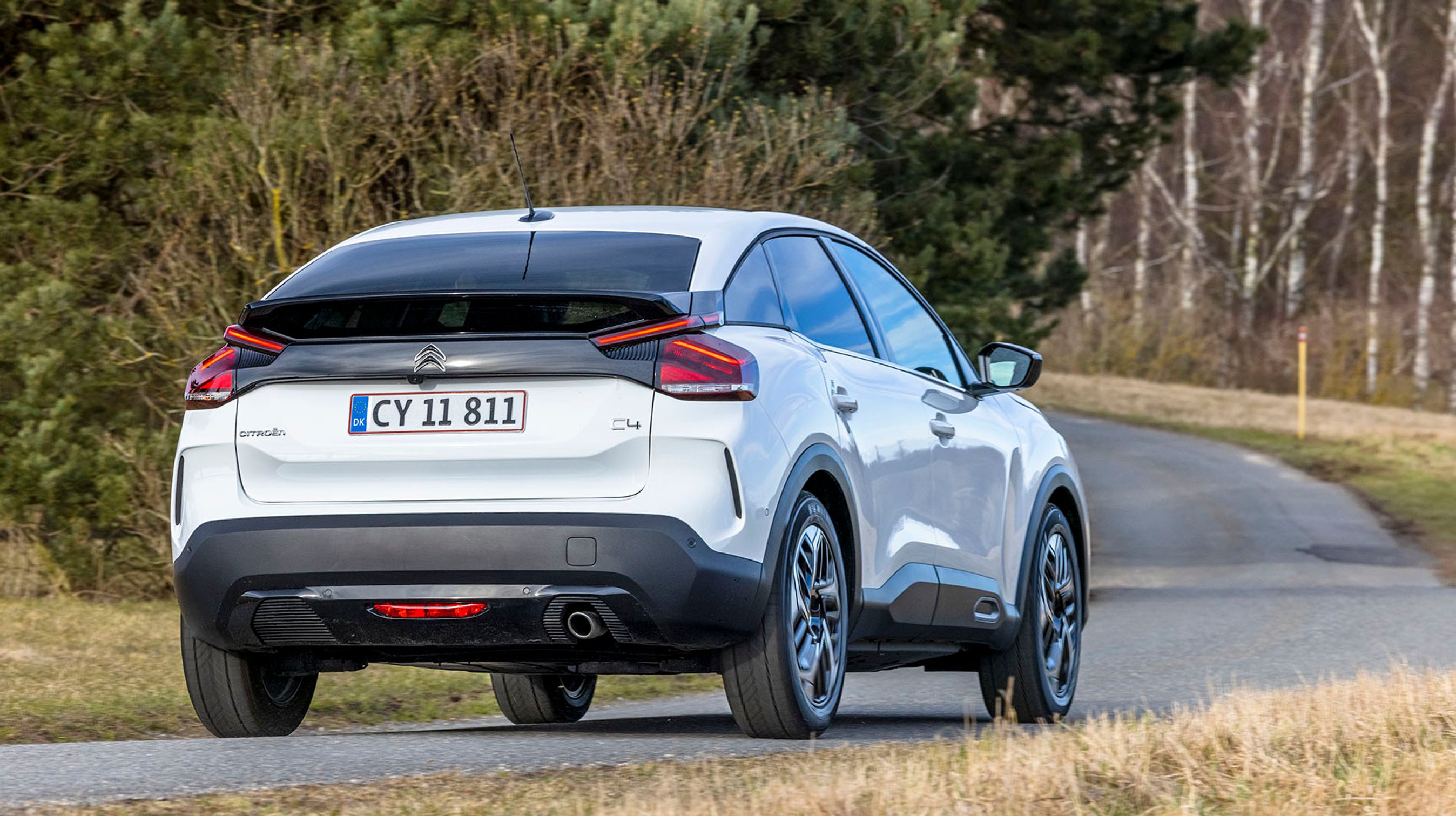 Særligt bagfra er formerne flotte og meget harmoniske. Der er tale om en femdørs hatchback med stor, tophængslet bagklap.