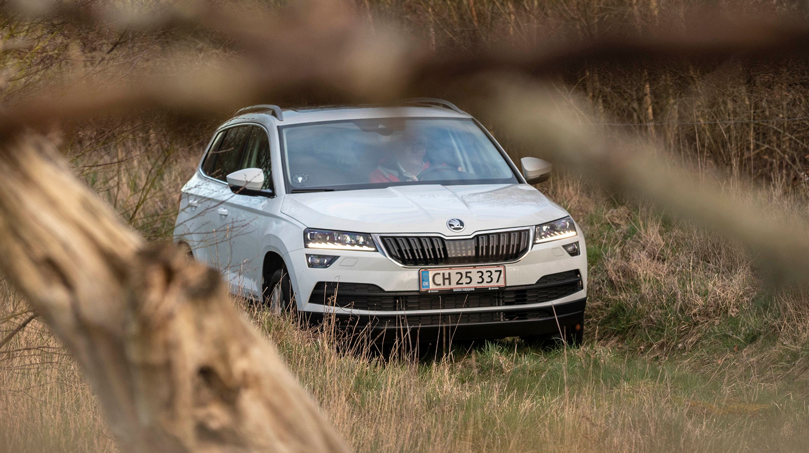 Skoda Karoq set forfra