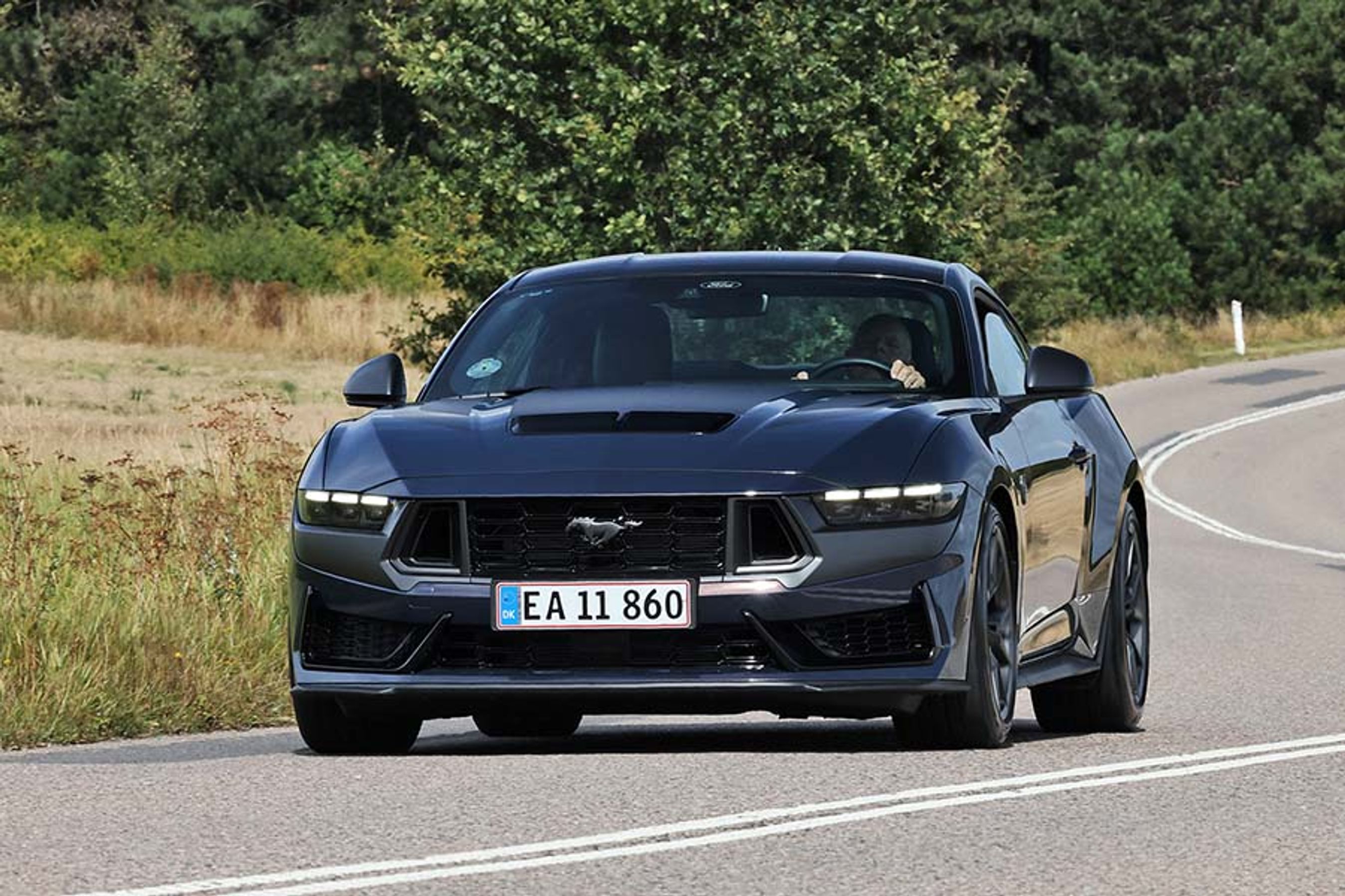 Med luftindtag i motorhjelmen og en front nærmest helt i sort er Dark Horse-versionen af Ford Mustang en bil med et bistert udtryk. Her ser den fin ud på landevejen, men svingegenskaberne er ikke imponerende. Det er accelerationen og ikke mindst bulderet fra V8-motoren, der gør indtryk. 
