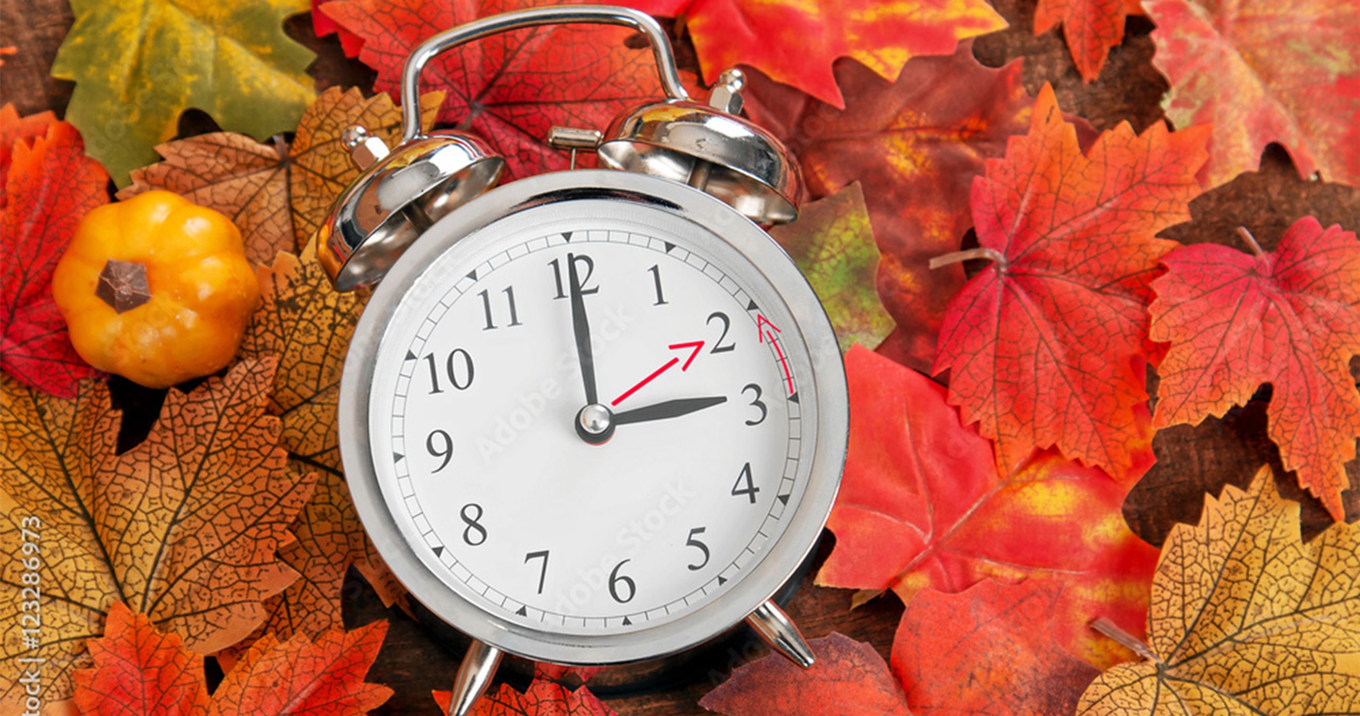 Vækkeur på bund af blade i efterårsfarver