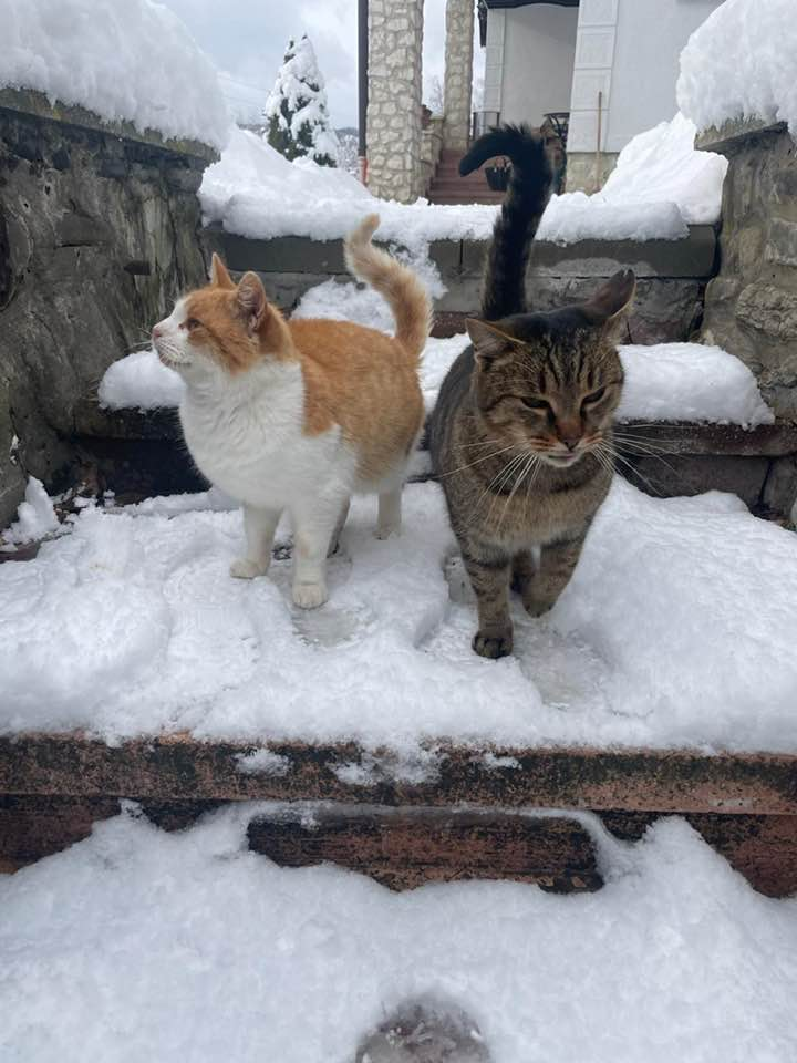 Pachet Revelion rit vechi