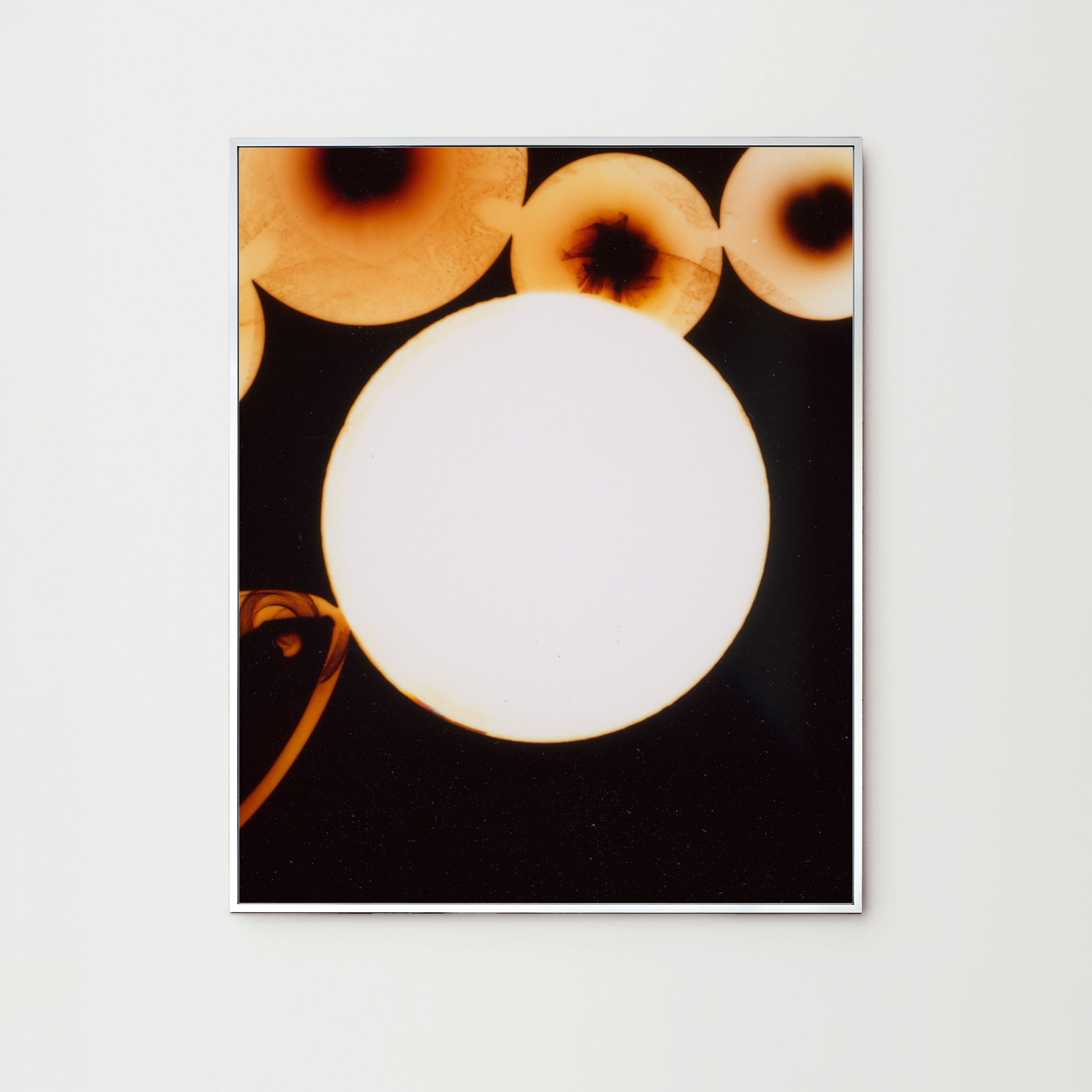 Darkroom Flowers III, Berlin 2022, print by Nina Raasch