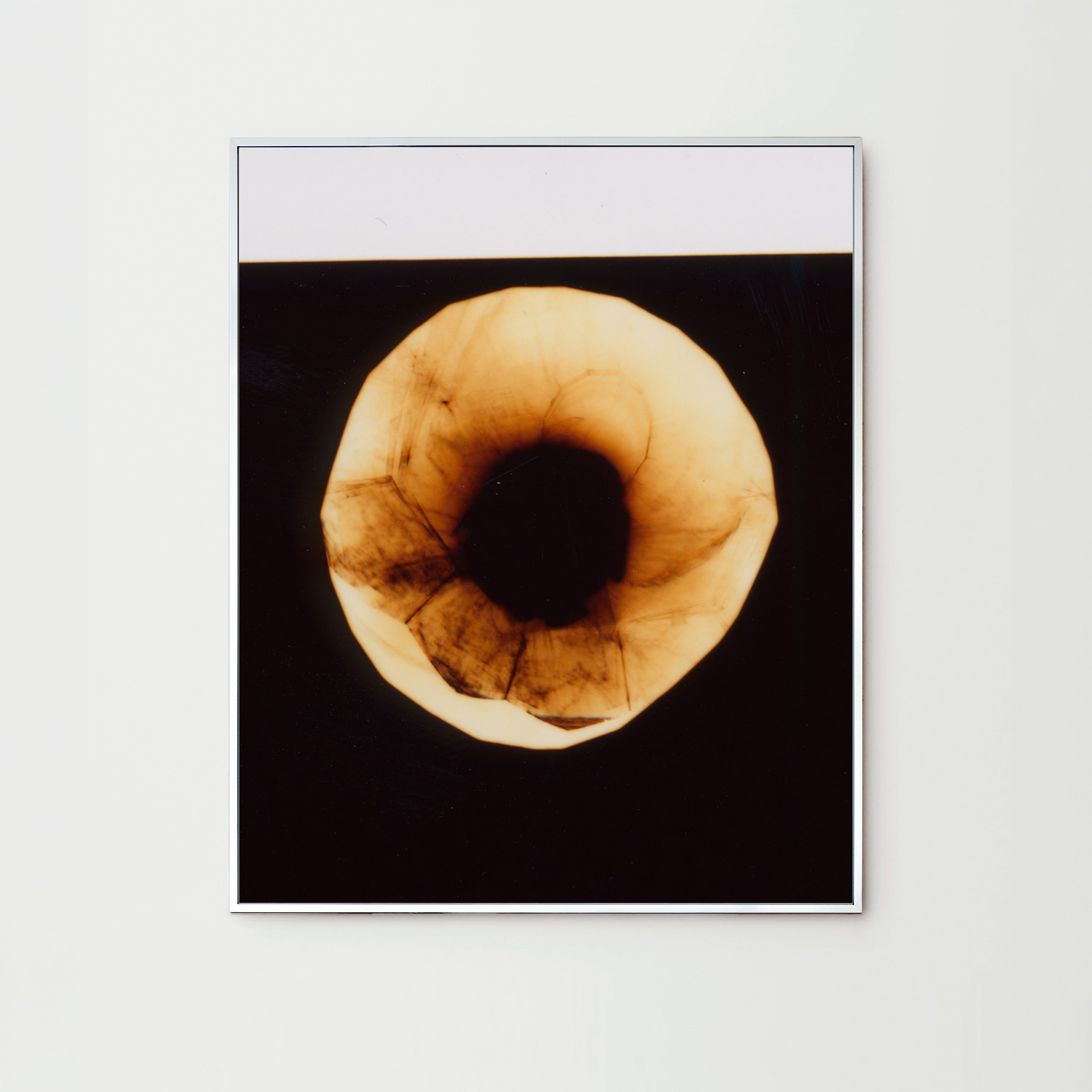 Darkroom Flowers IV, Berlin 2022, print by Nina Raasch