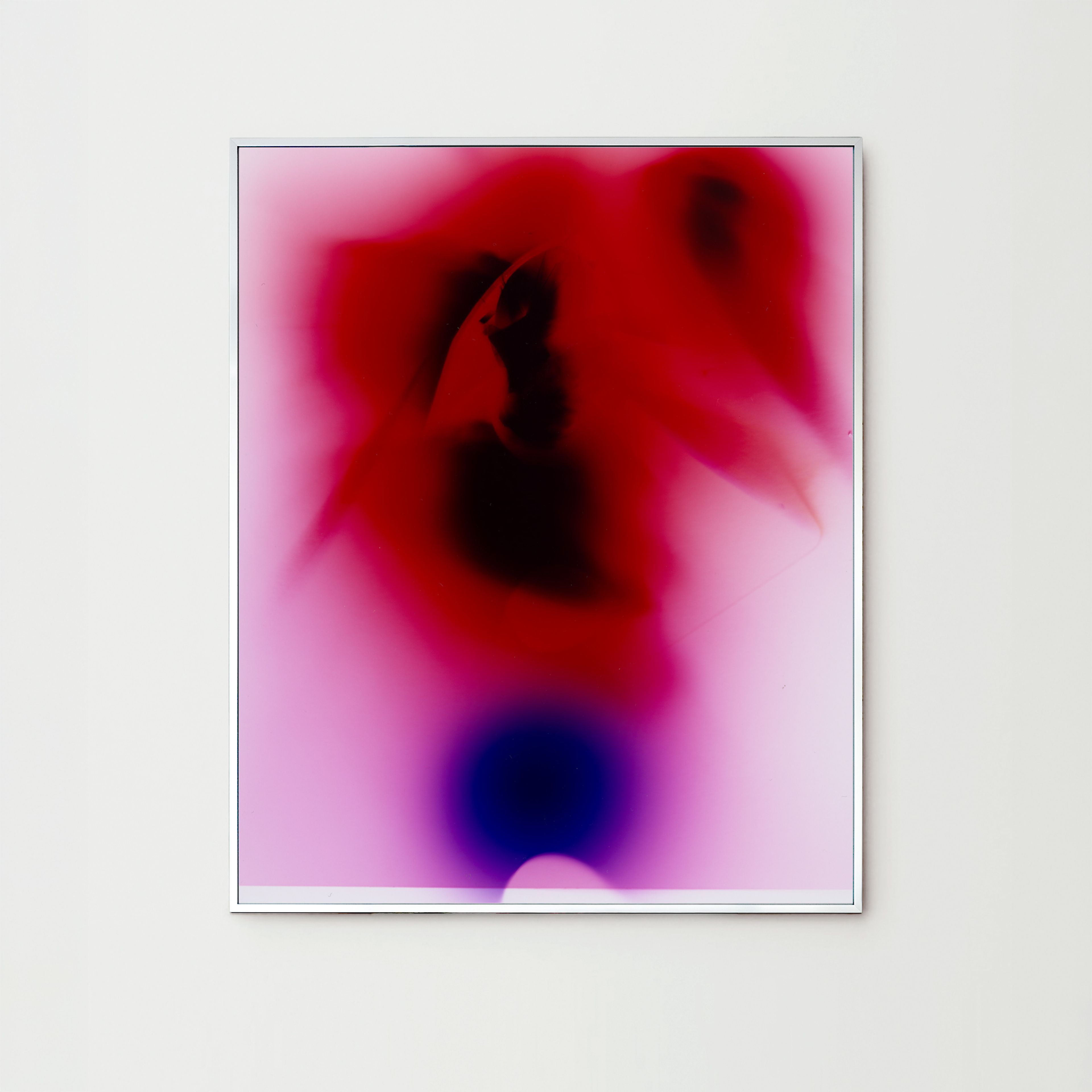 Darkroom Flowers II, Berlin 2024, print by Nina Raasch