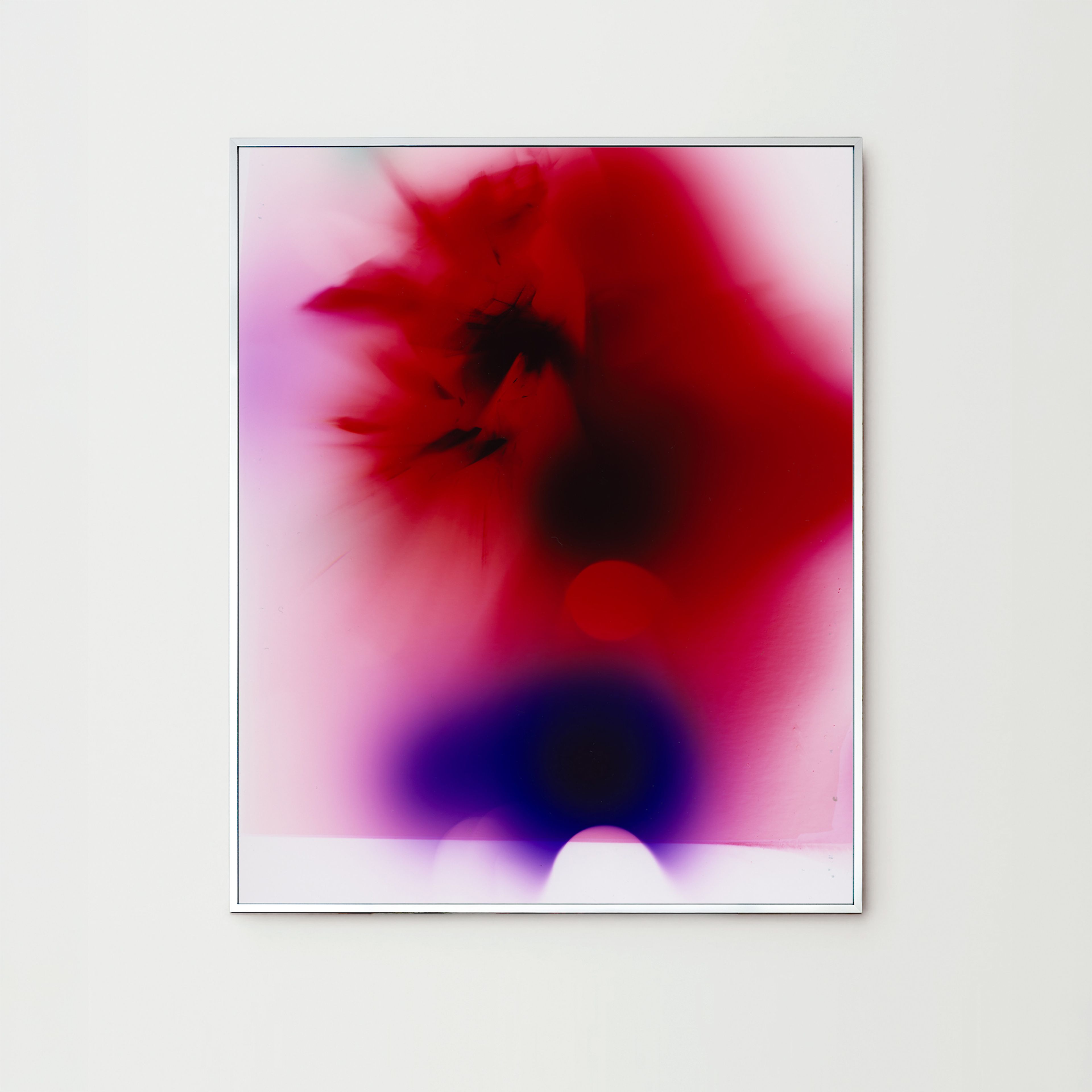 Darkroom Flowers I, Berlin 2024, print by Nina Raasch