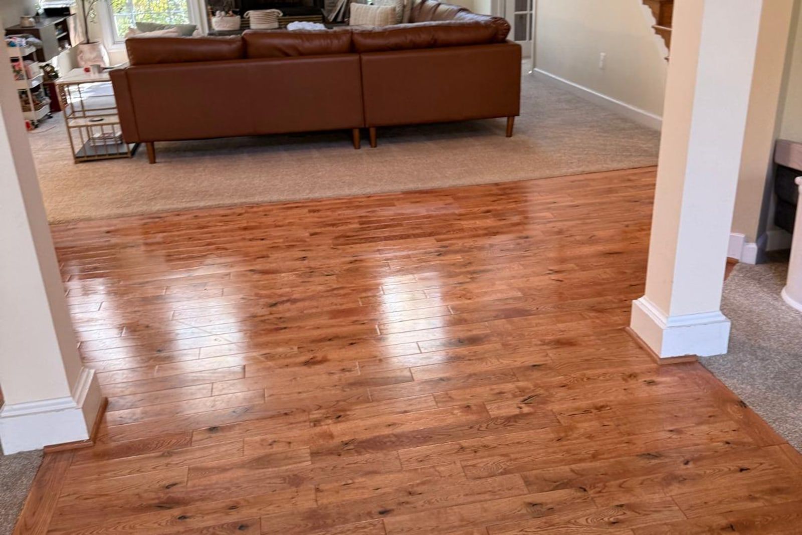 Bi-Weekly Clean