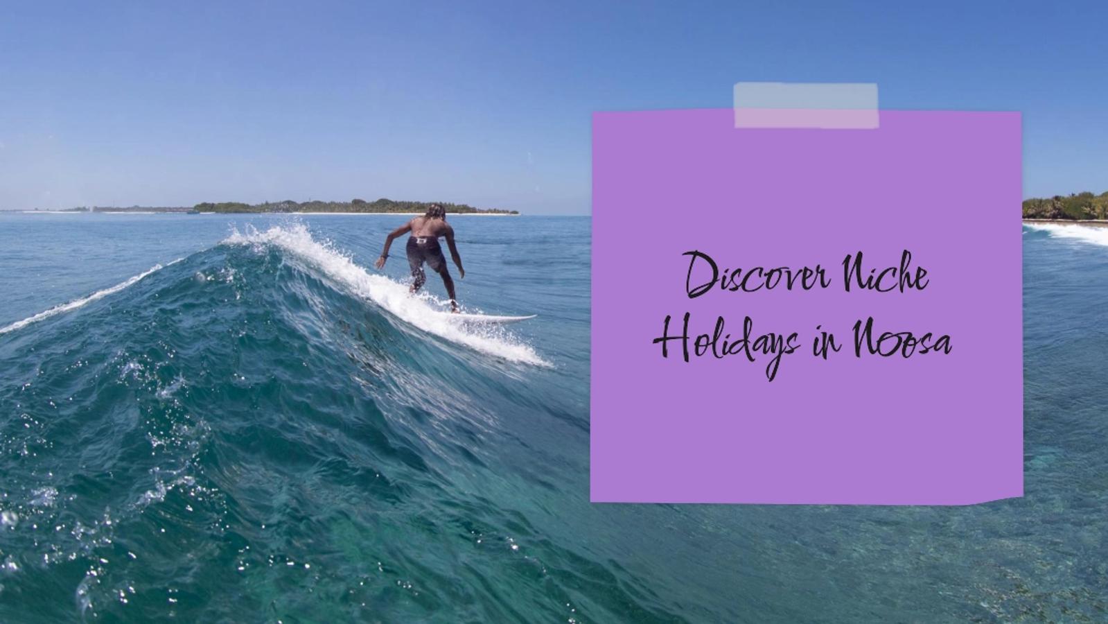 Discover the Charm of Niche Holidays in Noosa