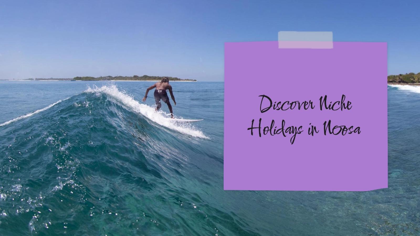 Discover the Charm of Niche Holidays in Noosa