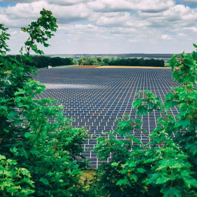 Low Carbon solar farm with trees