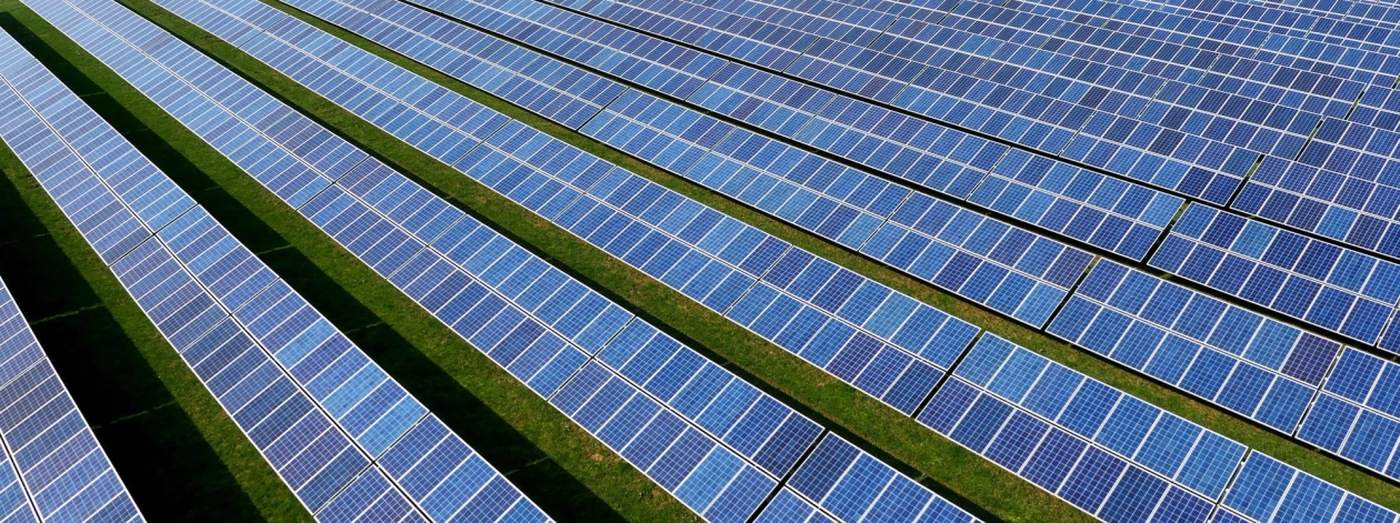 Solar farm panels